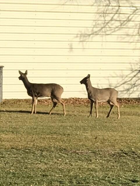 63899 Lakeshore Road Sturgis, MI 49091 - Photo 4 of 31 thumbnail_IMG_1149