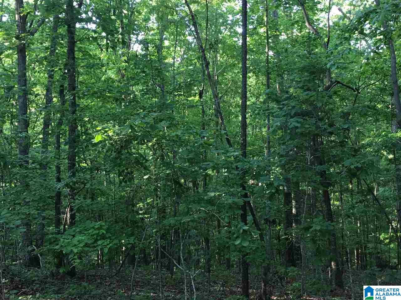 1011 Fox Valley Farms Road Alabaster, AL 35114 - Photo 4 of 29