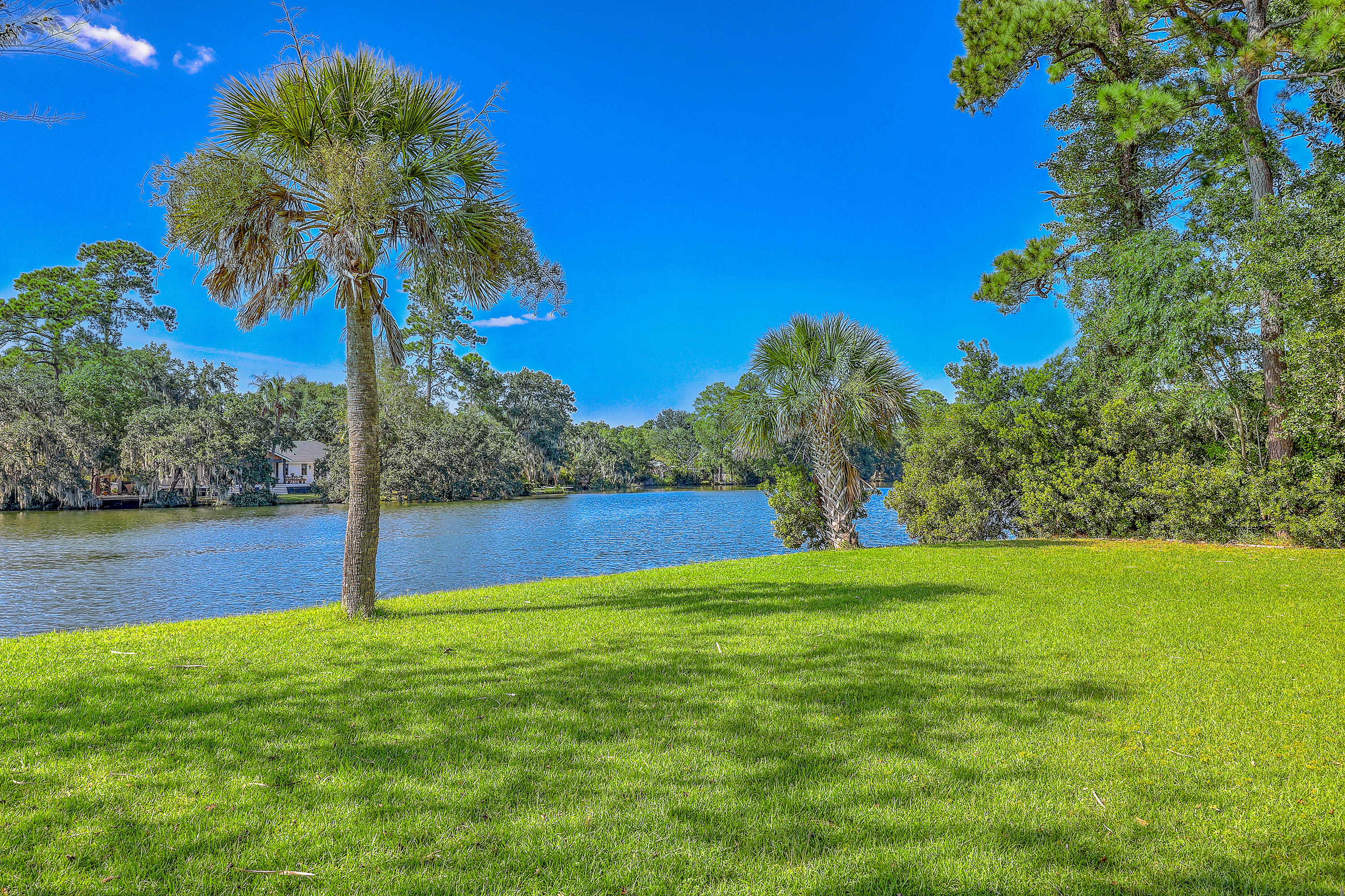 709 Blue Jack Point Mount Pleasant, SC 29464 - Photo 68 of 84 70