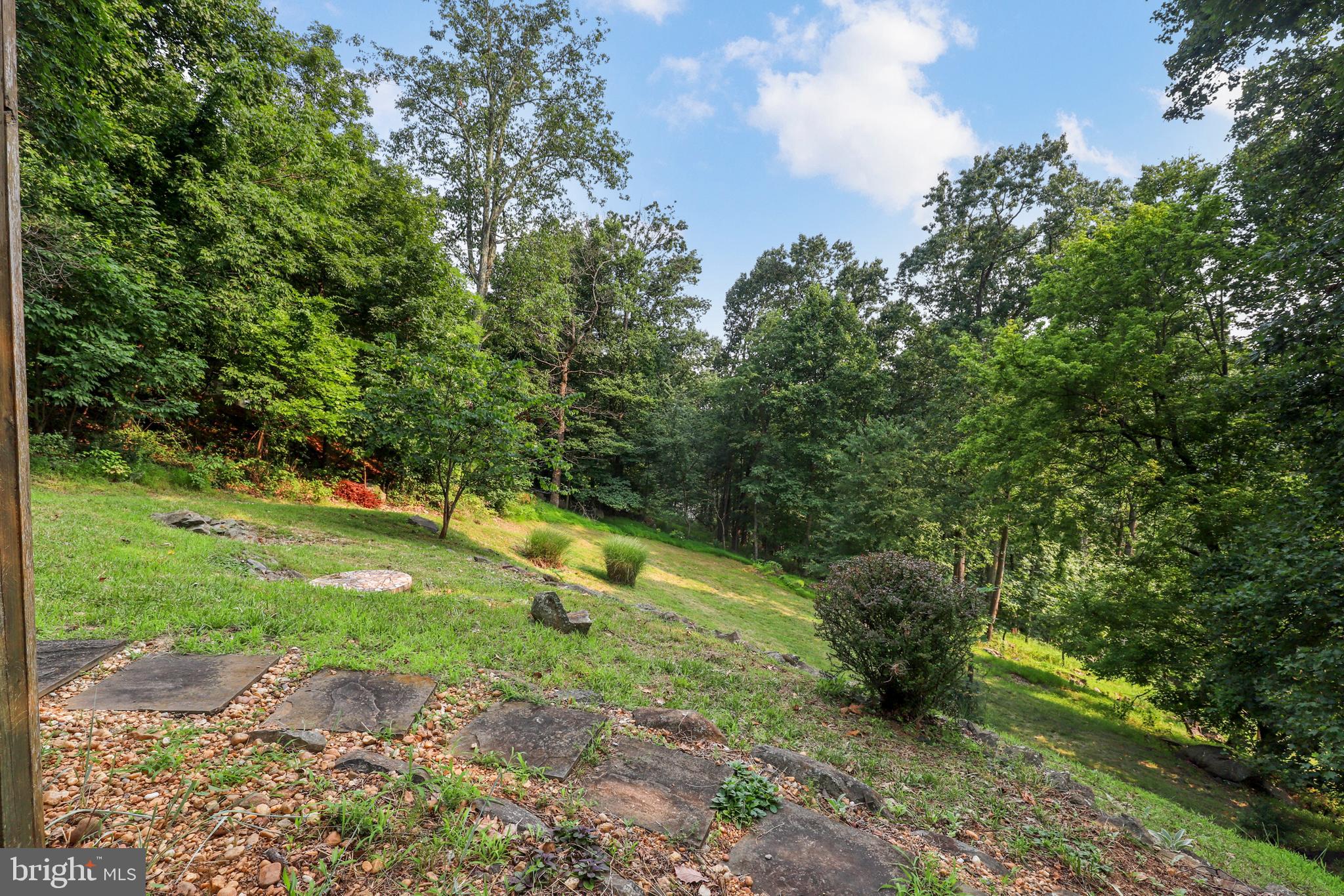 1336 Granny Smith Road Linden, VA 22642 - Photo 38 of 46