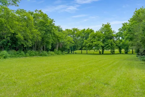 a view of a trees with a big yard