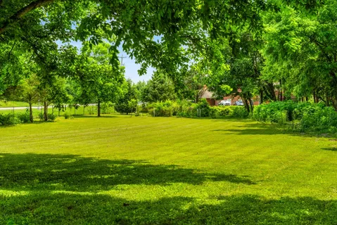 a view of a green field with trees in the background