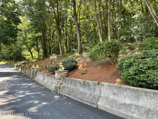 1833 South Webster Avenue Scranton, PA 18505 - Photo 3 of 17 a view of a yard with plants