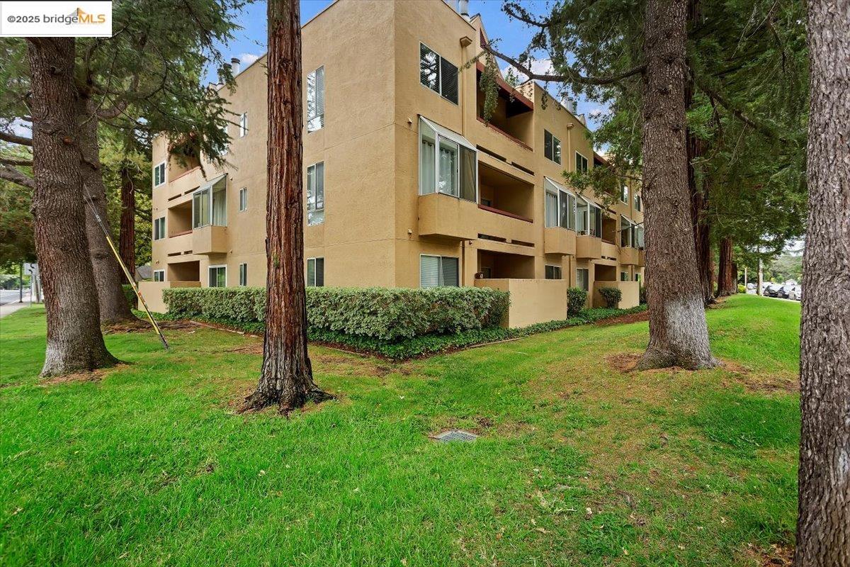 1308 Walden Road, Unit 32 Walnut Creek, CA 94597 - Photo 36 of 43 a backyard of a house with plants and large tree