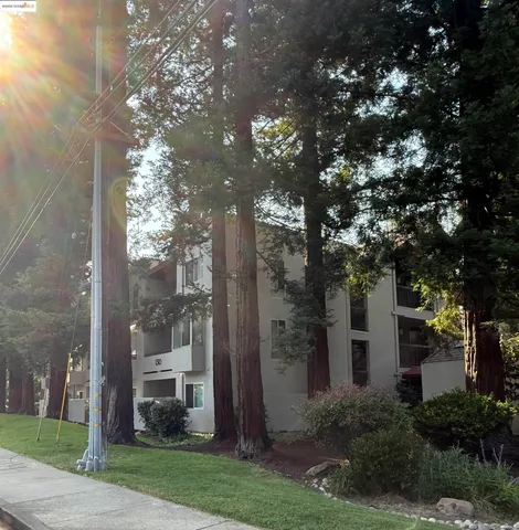 a view of a wrought iron fences