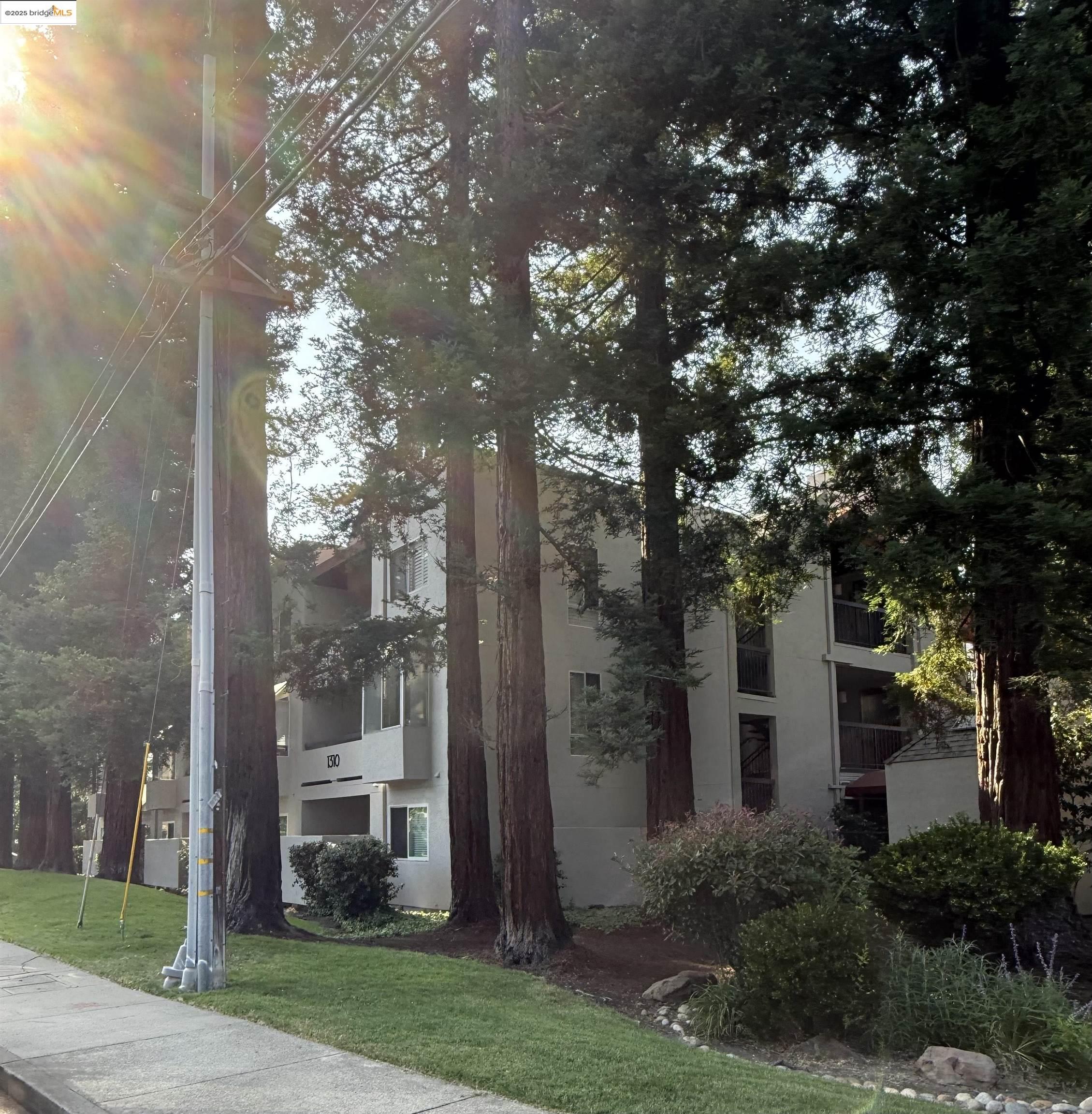 1308 Walden Road, Unit 32 Walnut Creek, CA 94597 - Photo 38 of 43 a front view of a house with a yard and trees