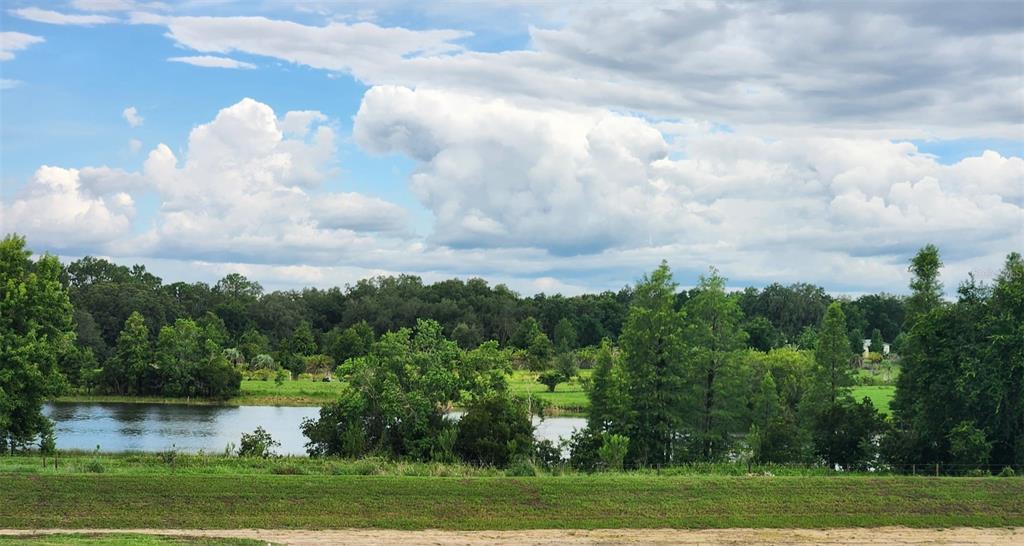 3258 Laurent Loop Davenport, FL 33837 - Photo 20 of 26 a view of a big yard with a house in the background
