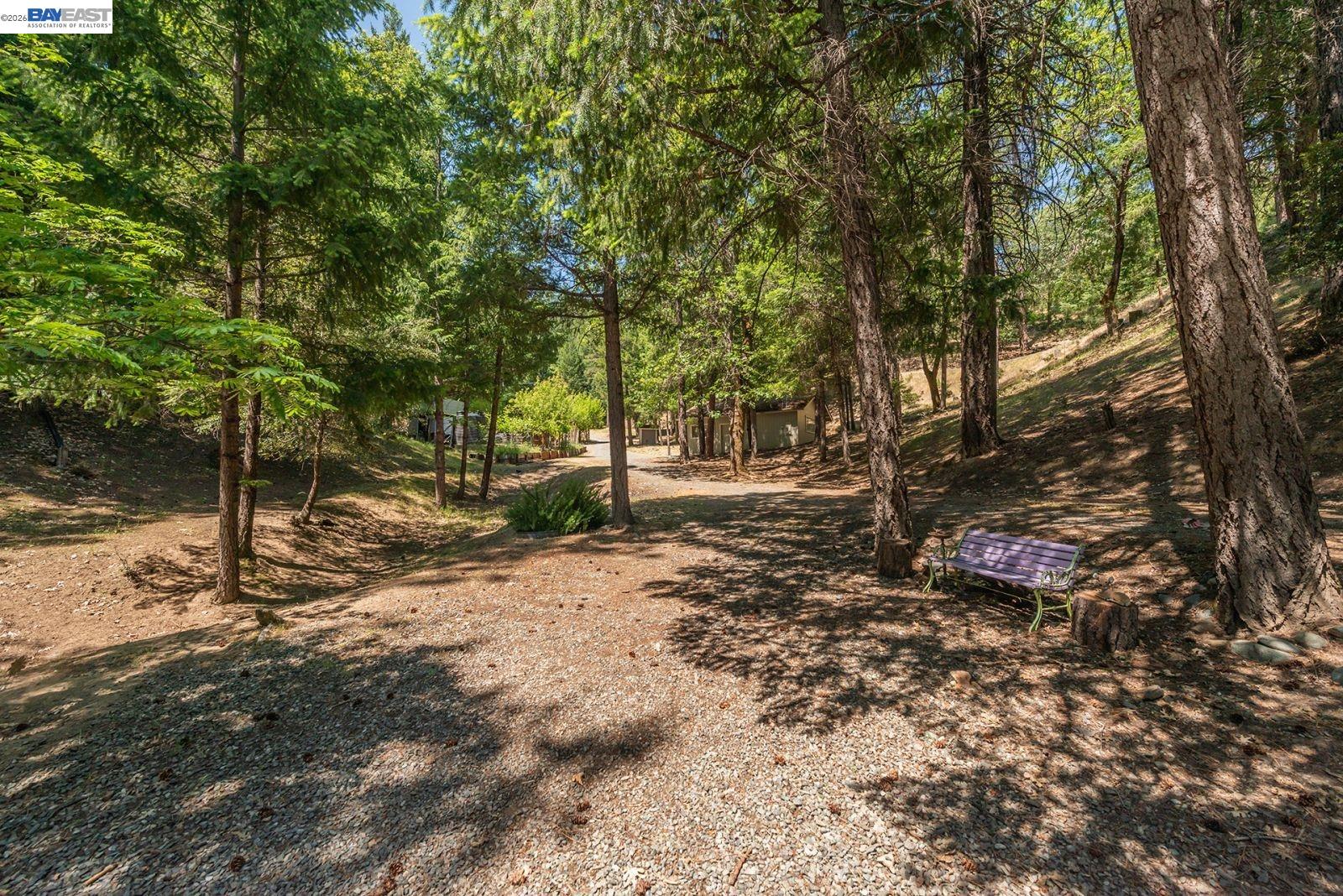 891 Salt Flat Road Lewiston, CA 96052 - Photo 31 of 50