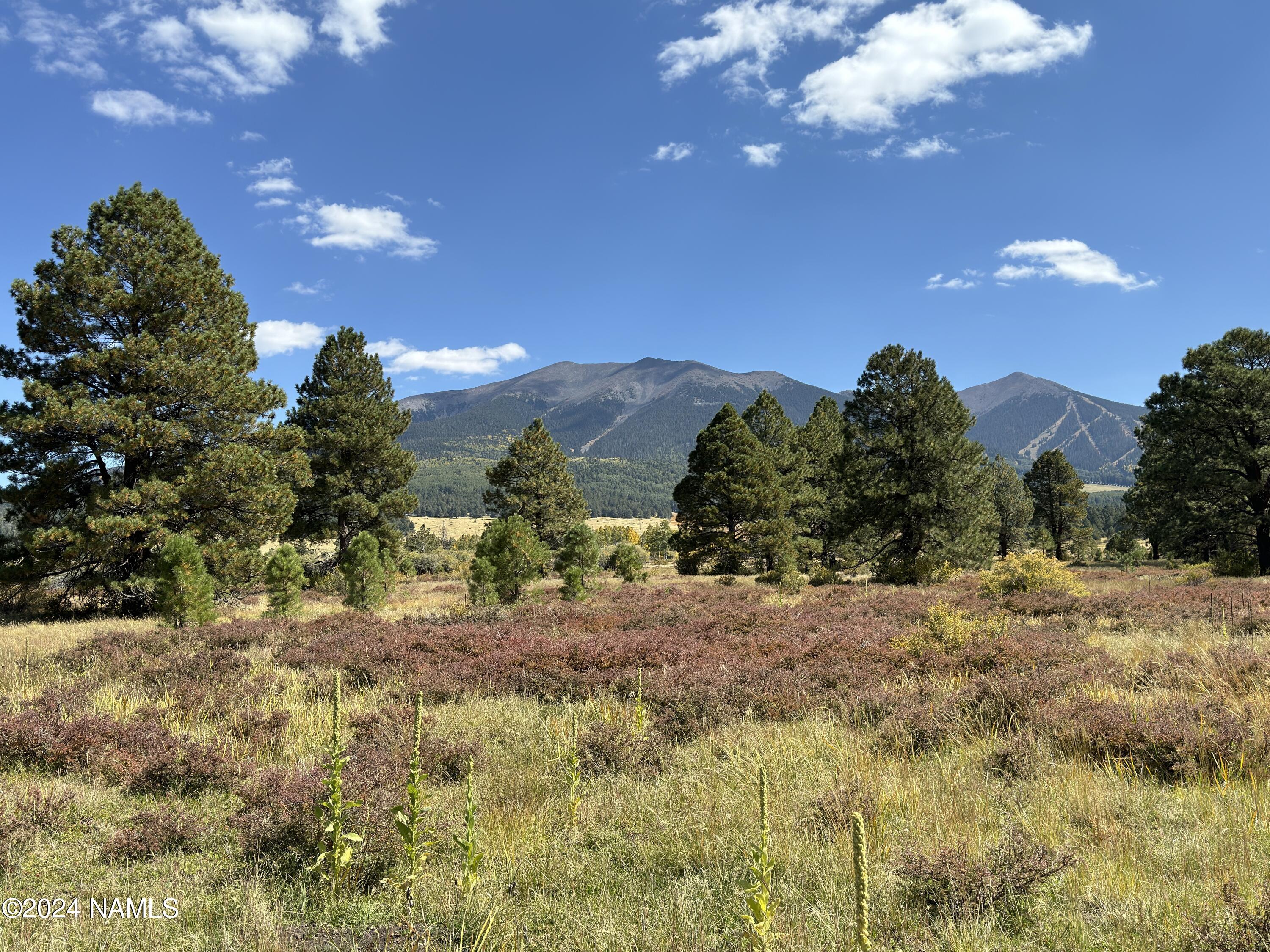 2 Hart Prairie Road Flagstaff, AZ 86001 - Photo 16 of 26 a view of a yard with a tree