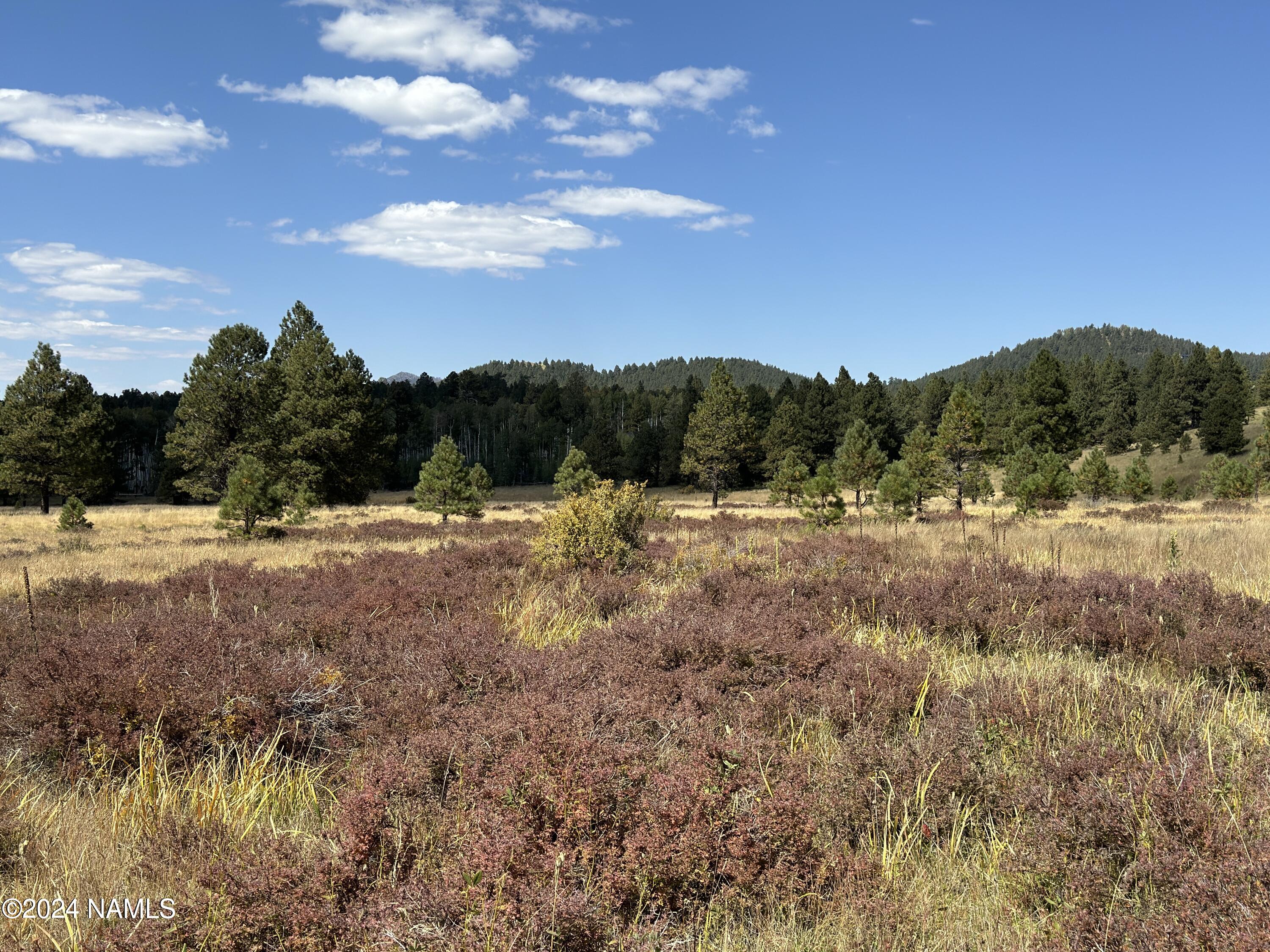 2 Hart Prairie Road Flagstaff, AZ 86001 - Photo 17 of 26 a view of mountain view with lots of trees