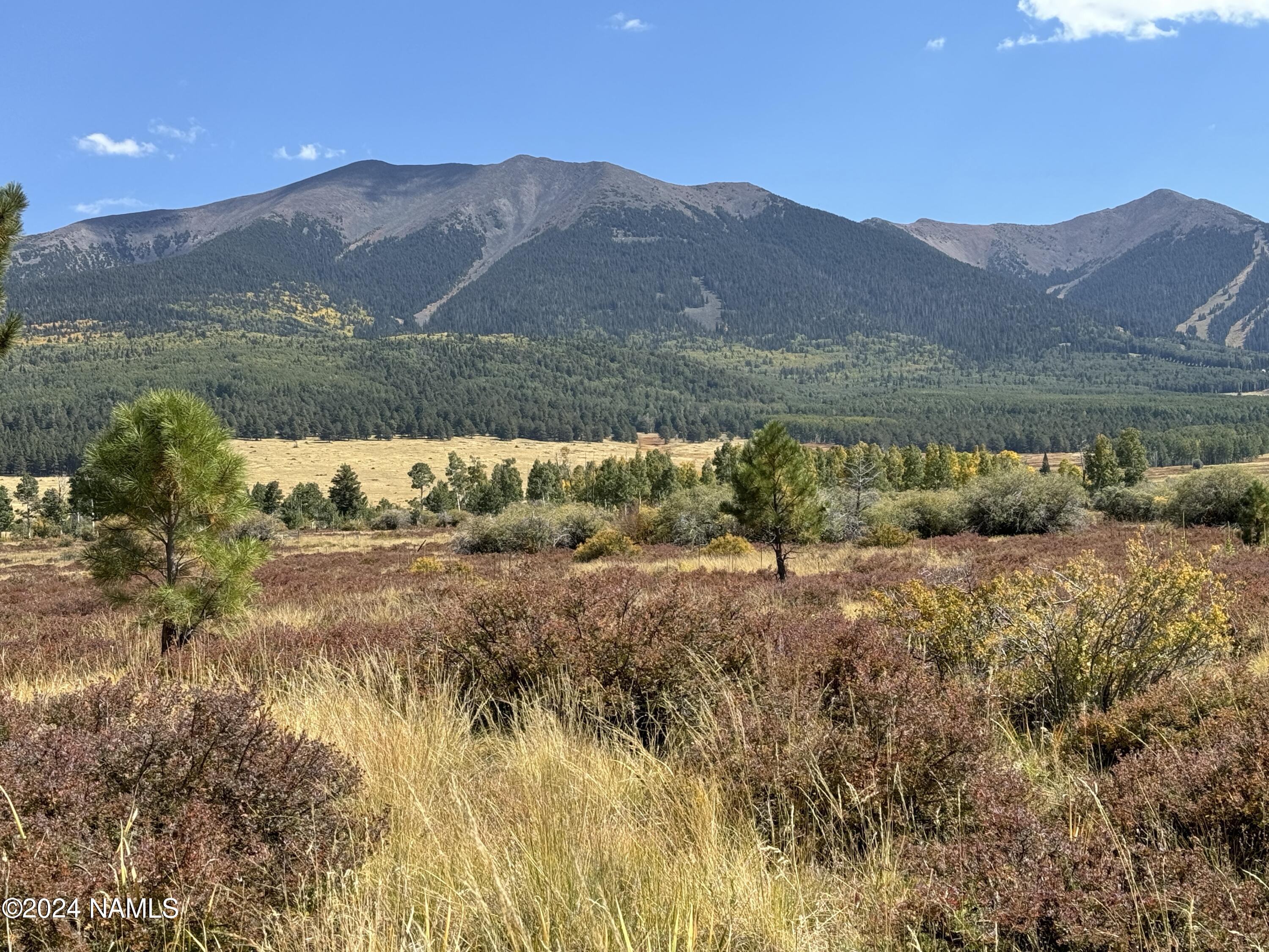 2 Hart Prairie Road Flagstaff, AZ 86001 - Photo 19 of 26 a view of outdoor space and mountain view