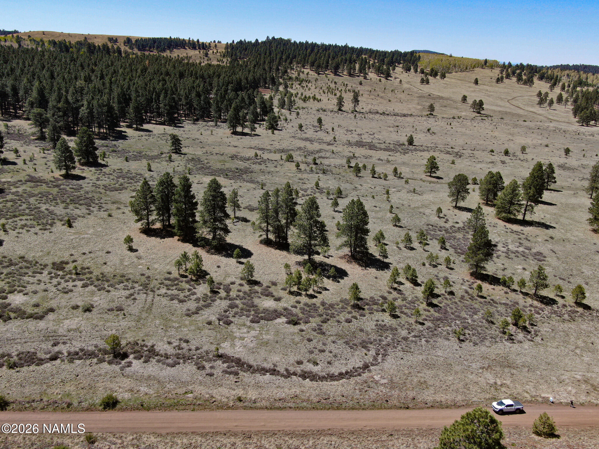 2 Hart Prairie Road Flagstaff, AZ 86001 - Photo 4 of 26 a view of a dry yard with trees in the background