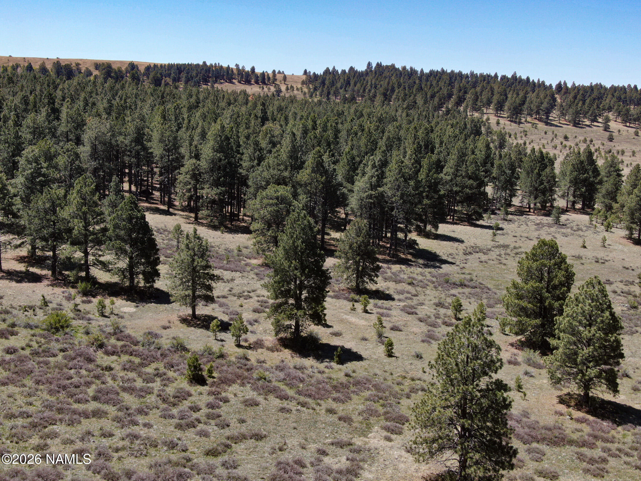 2 Hart Prairie Road Flagstaff, AZ 86001 - Photo 7 of 26 a view of a covered with trees in the background
