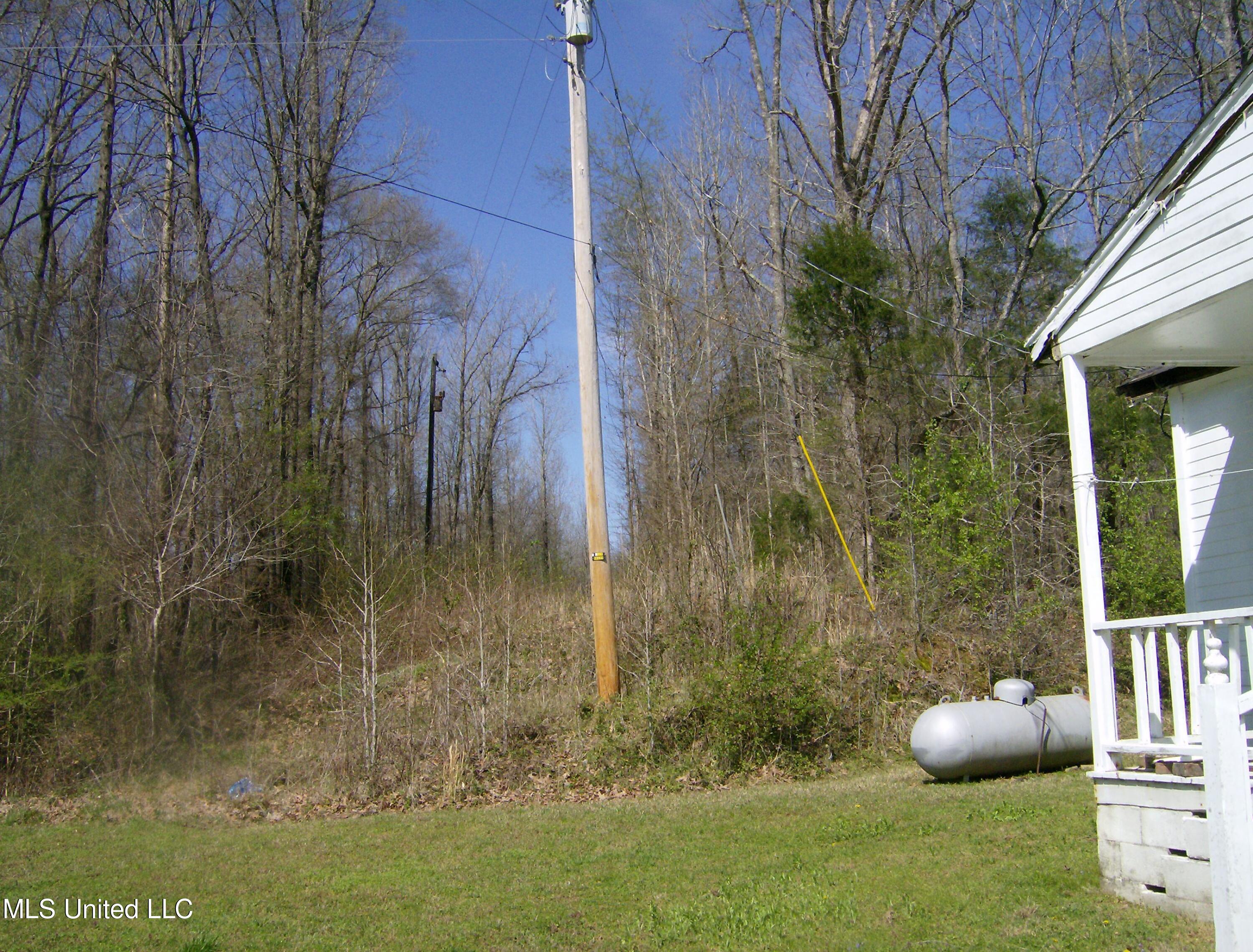 5553 Bright Road Hernando, MS 38632 - Photo 12 of 13 HPIM4239
