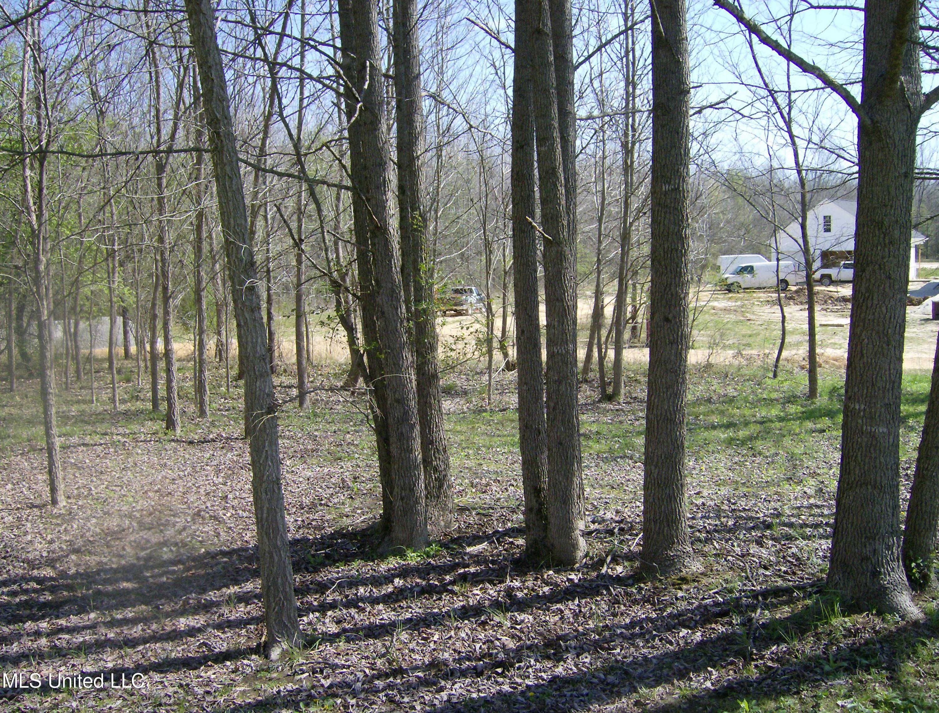 5553 Bright Road Hernando, MS 38632 - Photo 3 of 13 HPIM4230