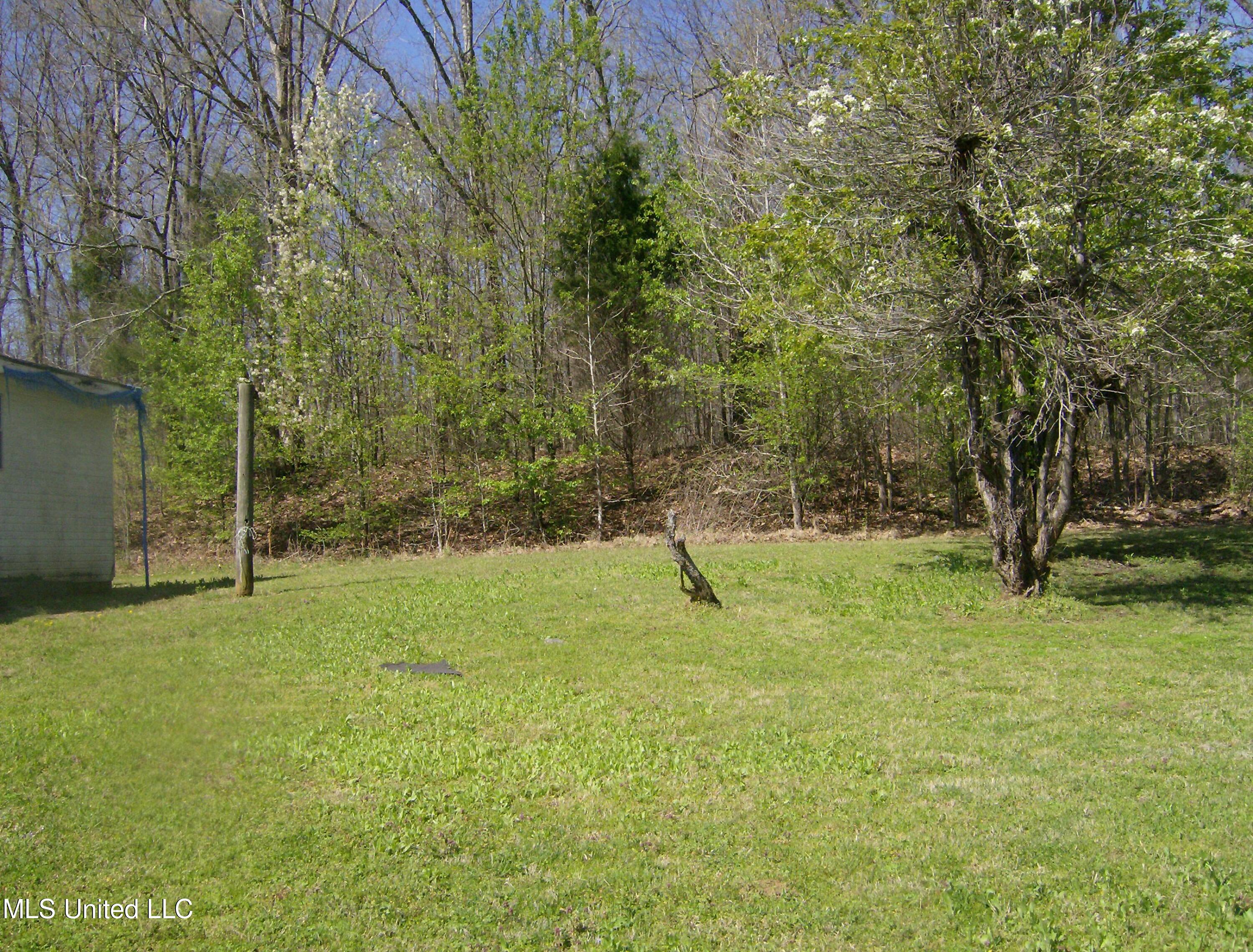 5553 Bright Road Hernando, MS 38632 - Photo 6 of 13 HPIM4233