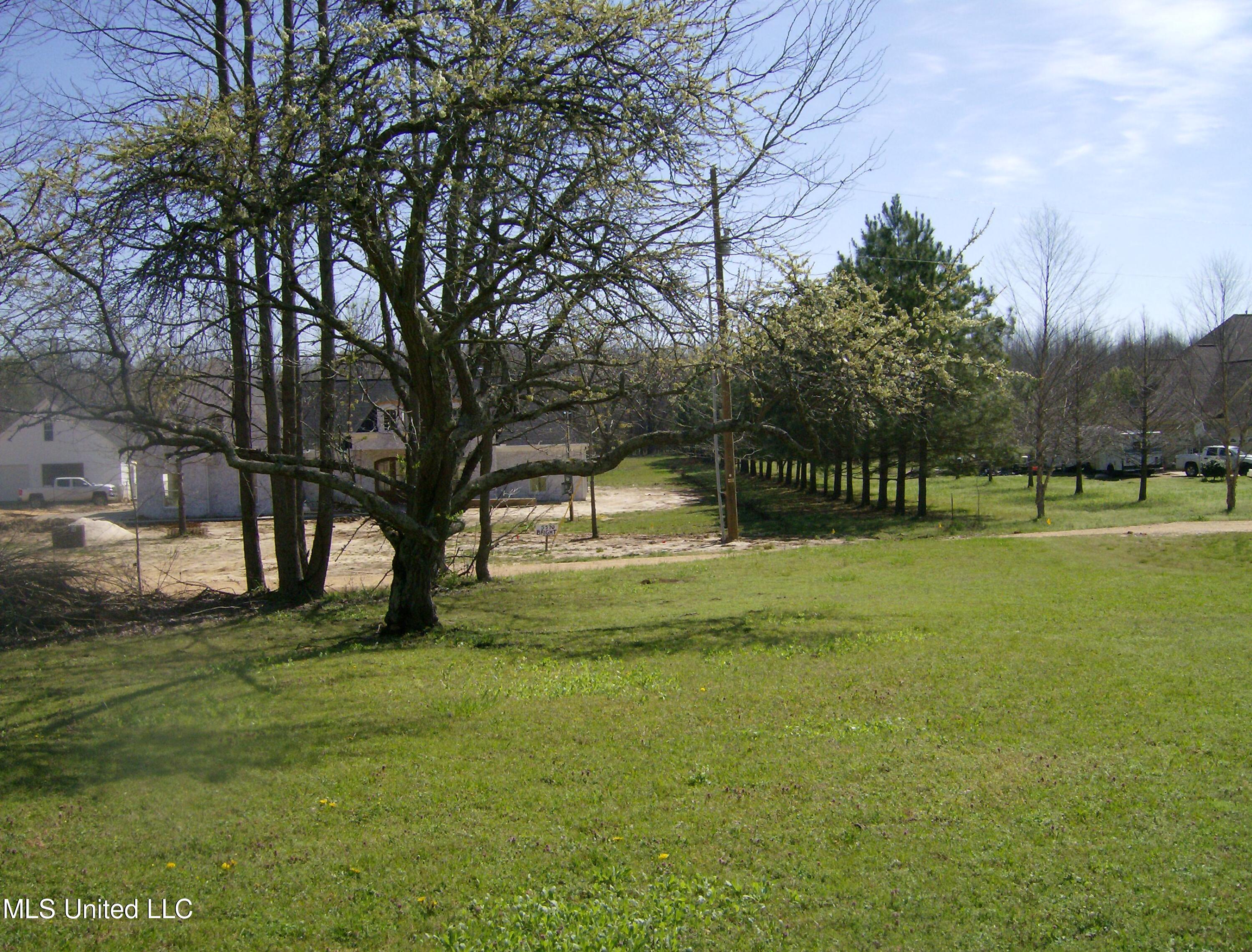 5553 Bright Road Hernando, MS 38632 - Photo 7 of 13 HPIM4234
