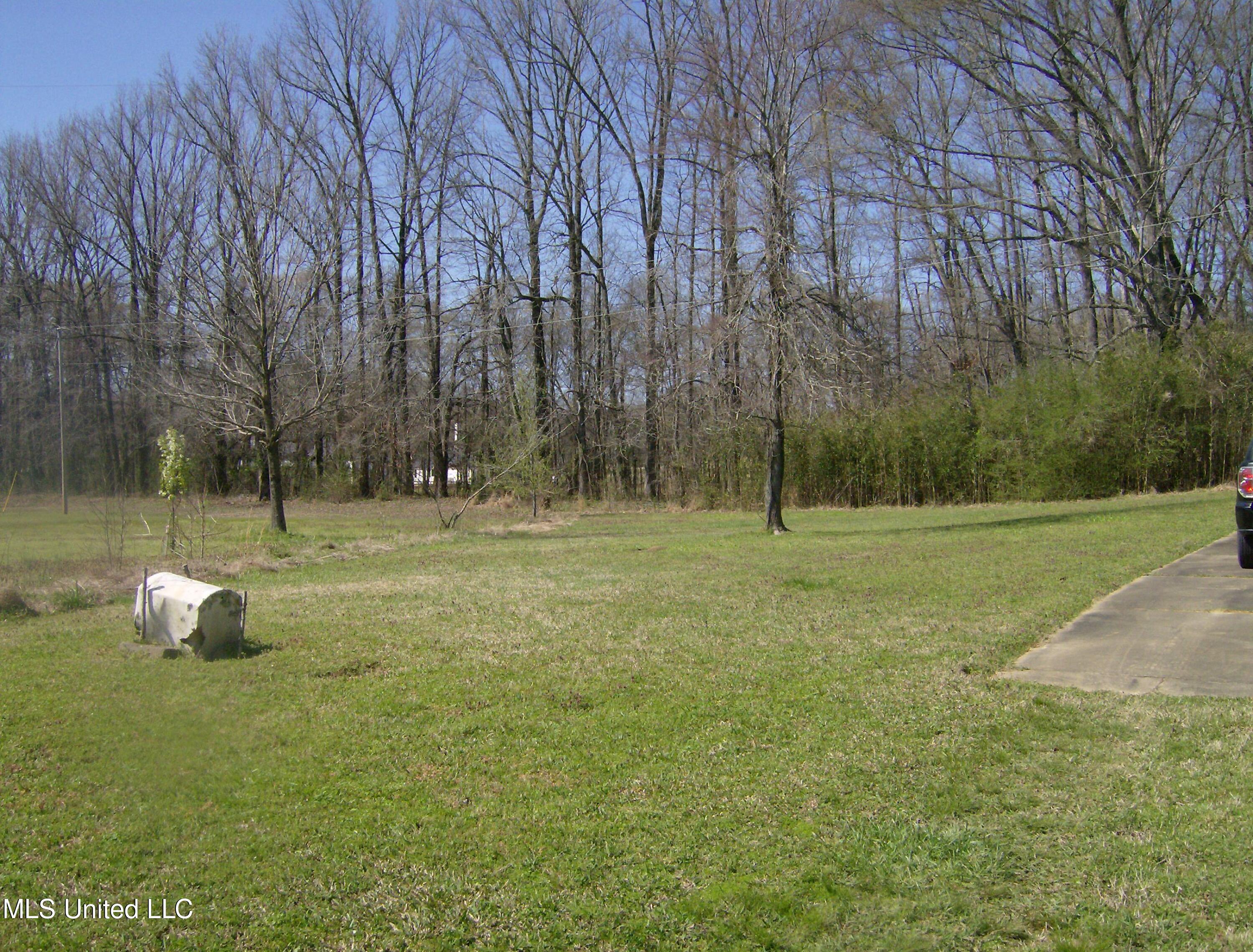 5553 Bright Road Hernando, MS 38632 - Photo 9 of 13 HPIM4236
