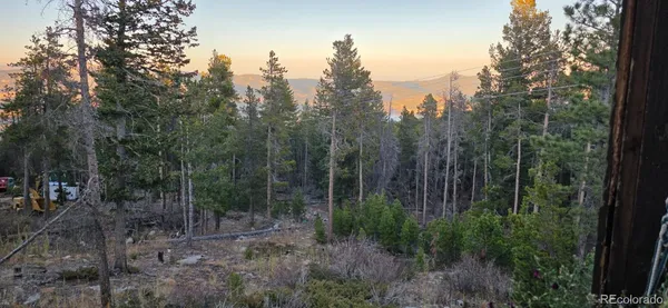 a view of a forest with trees