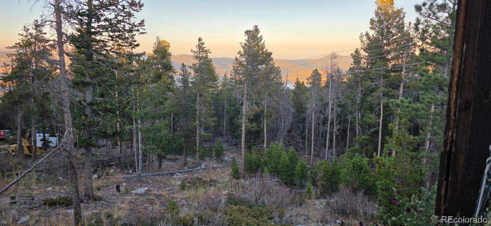 87 Circle Road Golden, CO 80403 - Photo 14 of 15 a view of a forest with trees