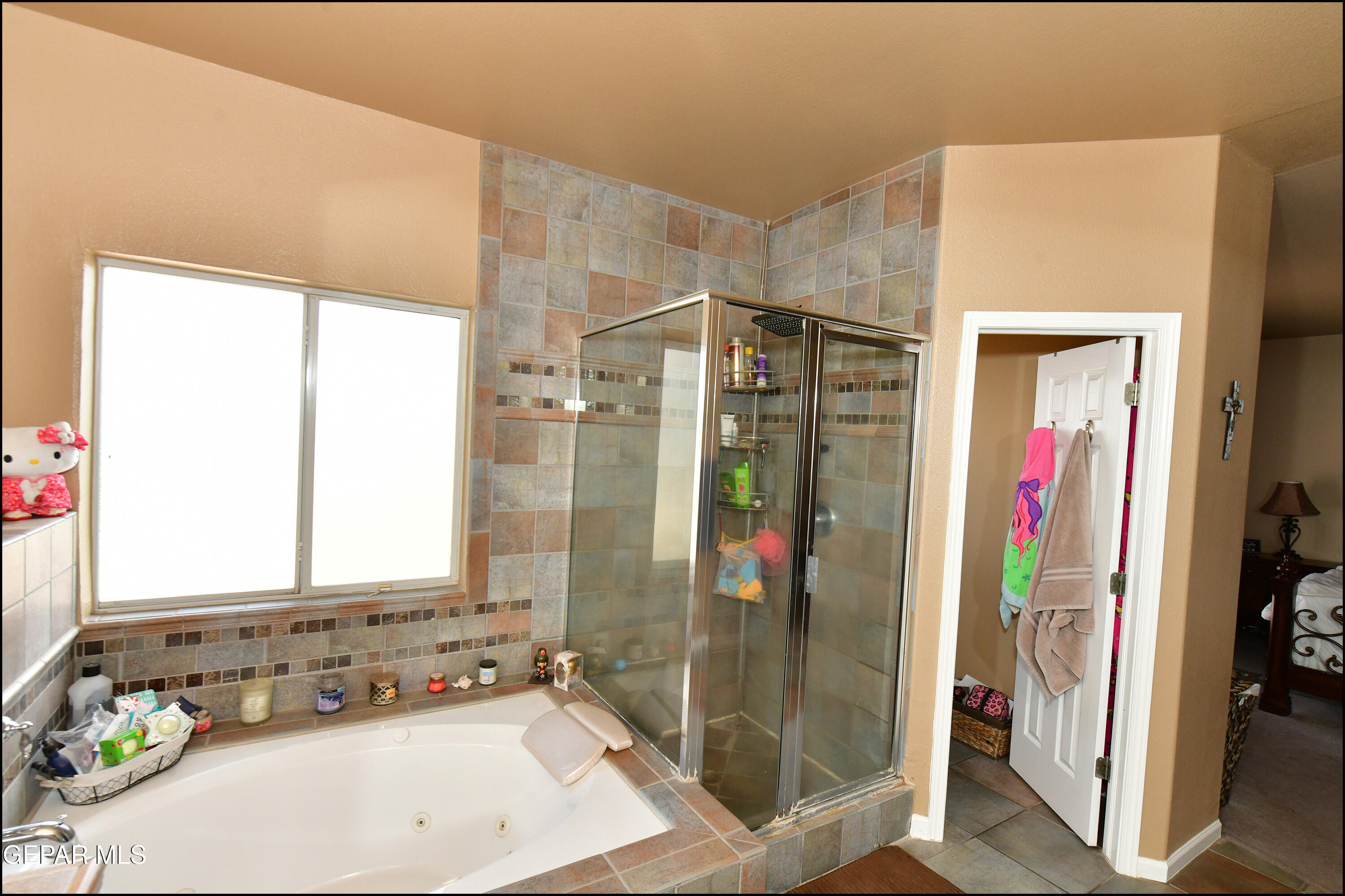 7350 Navidad Way Canutillo, TX 79835 - Photo 28 of 49 a bathroom with a sink a mirror and a shower
