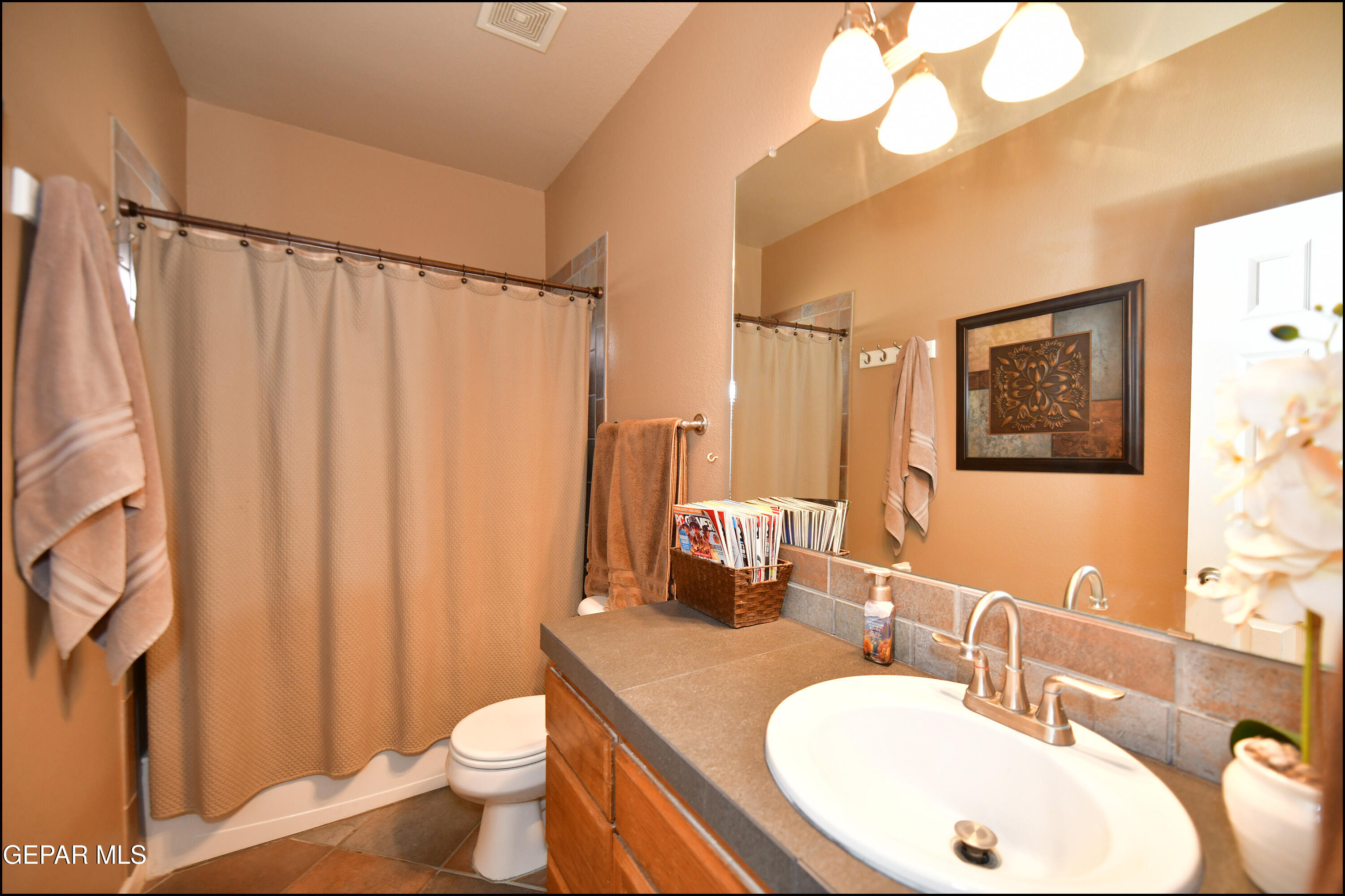 7350 Navidad Way Canutillo, TX 79835 - Photo 40 of 49 a bathroom with a toilet a sink and a mirror