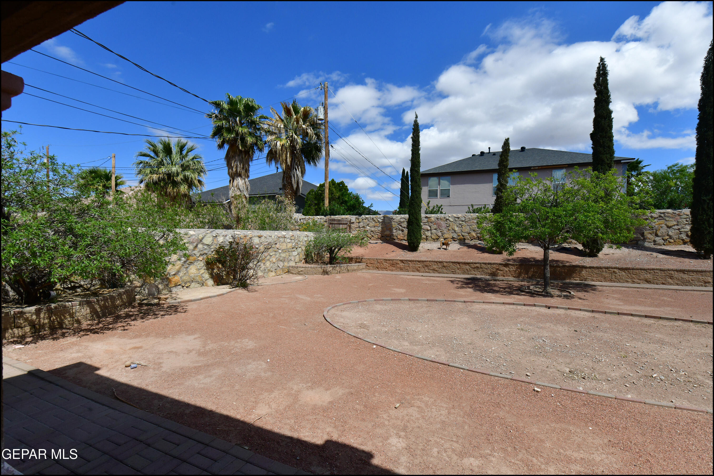 7350 Navidad Way Canutillo, TX 79835 - Photo 42 of 49 a row of palm trees and a yard