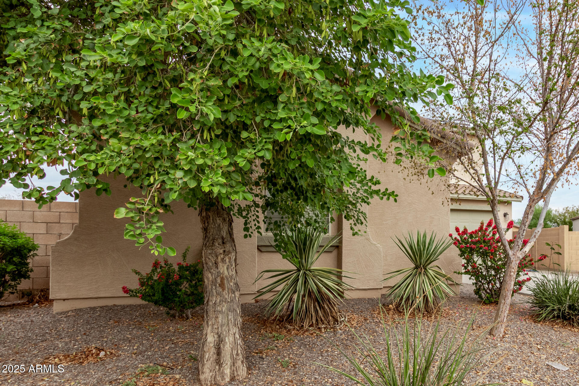 18976 North Lariat Road Maricopa, AZ 85138 - Photo 3 of 38 03 Lariat