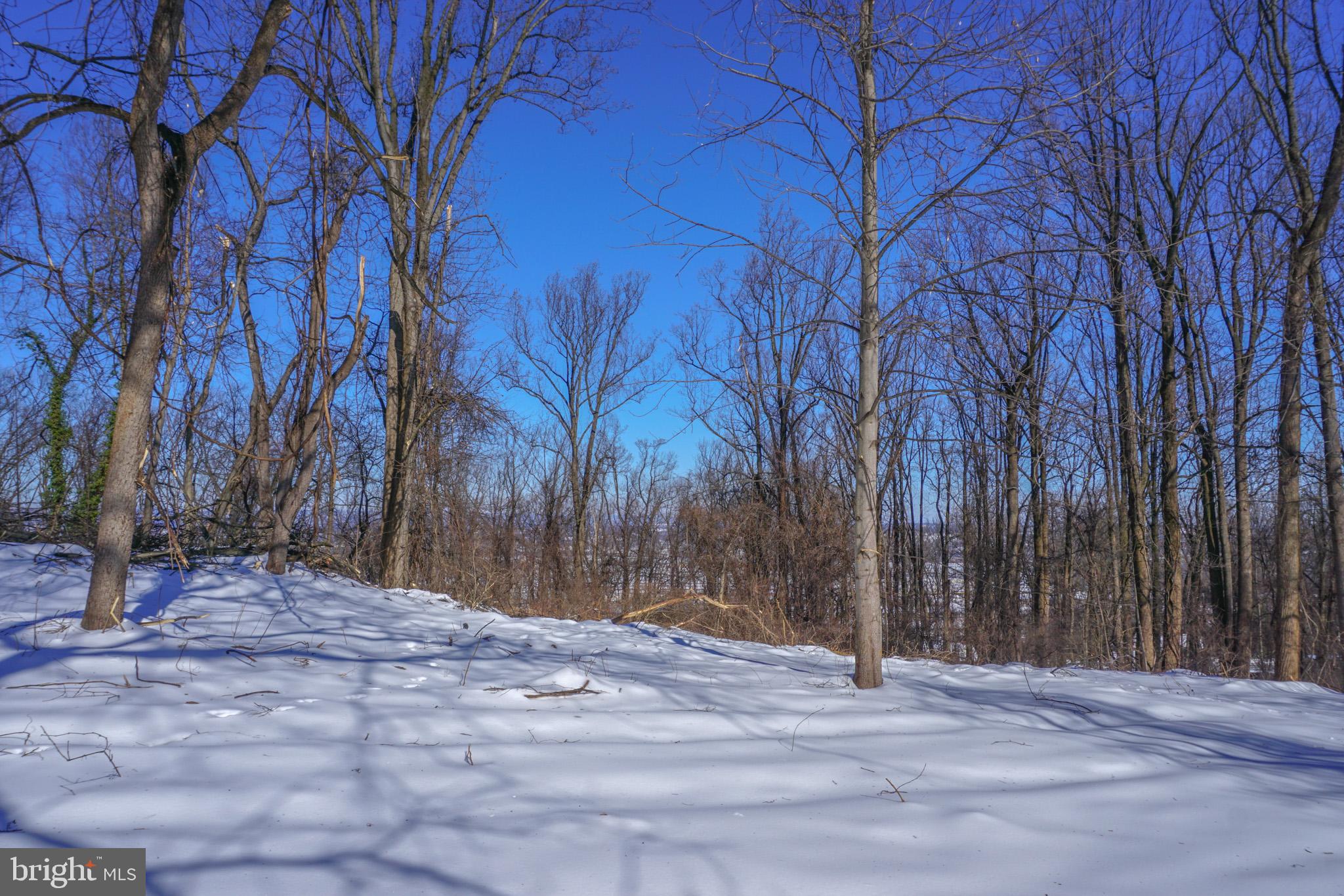 0 Old York Road, Unit 253 New Cumberland, PA 17070 - Photo 11 of 18 a view of backyard space