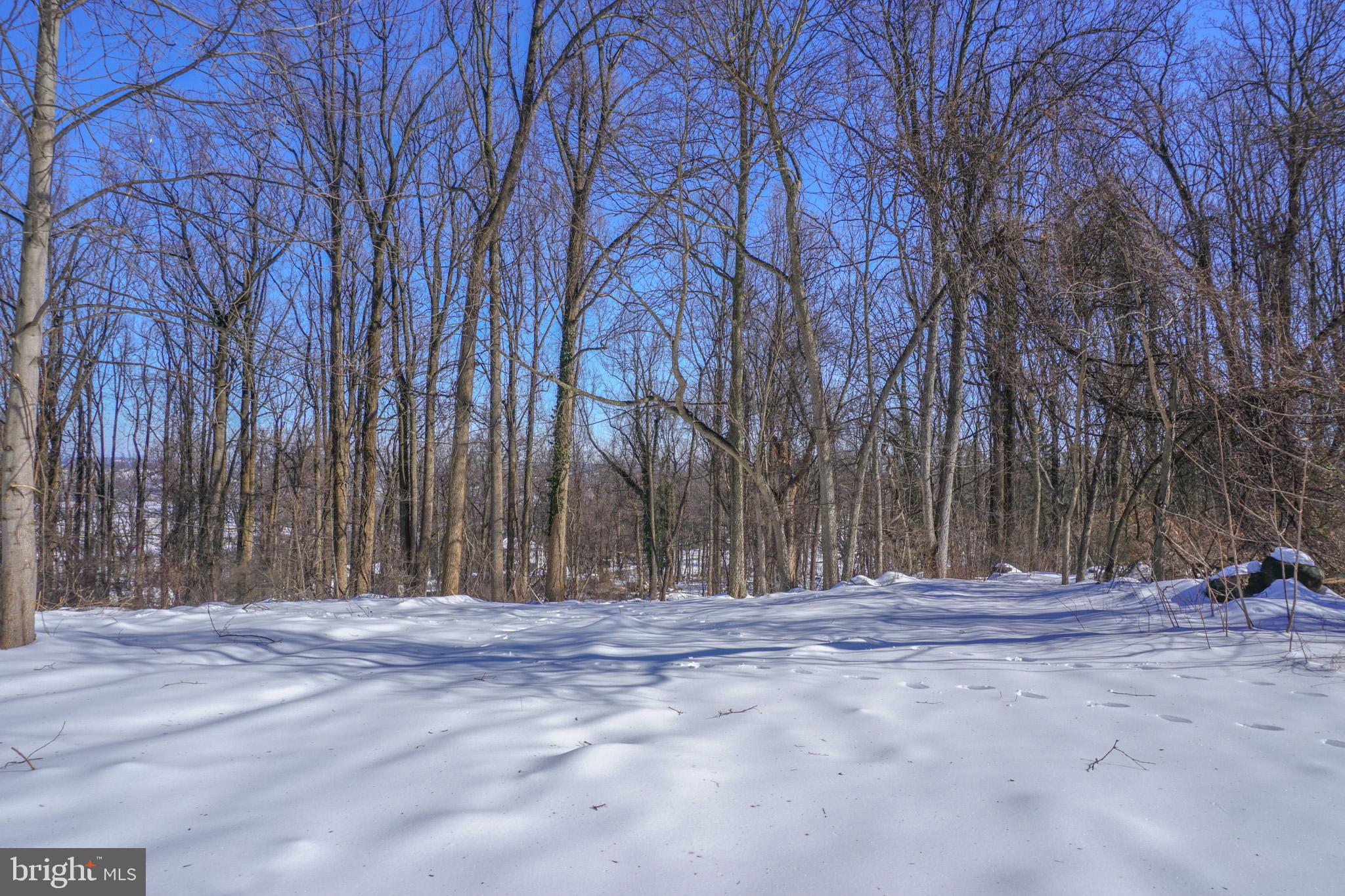 0 Old York Road, Unit 253 New Cumberland, PA 17070 - Photo 12 of 18 a view of tree with side of a house