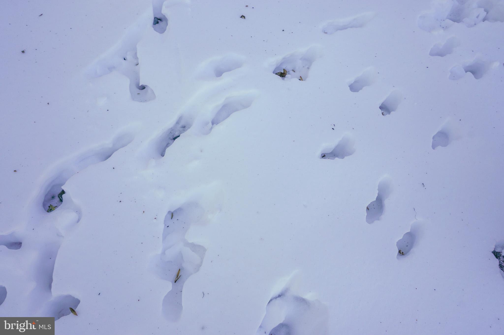 0 Old York Road, Unit 253 New Cumberland, PA 17070 - Photo 13 of 18 a bathroom with a shower