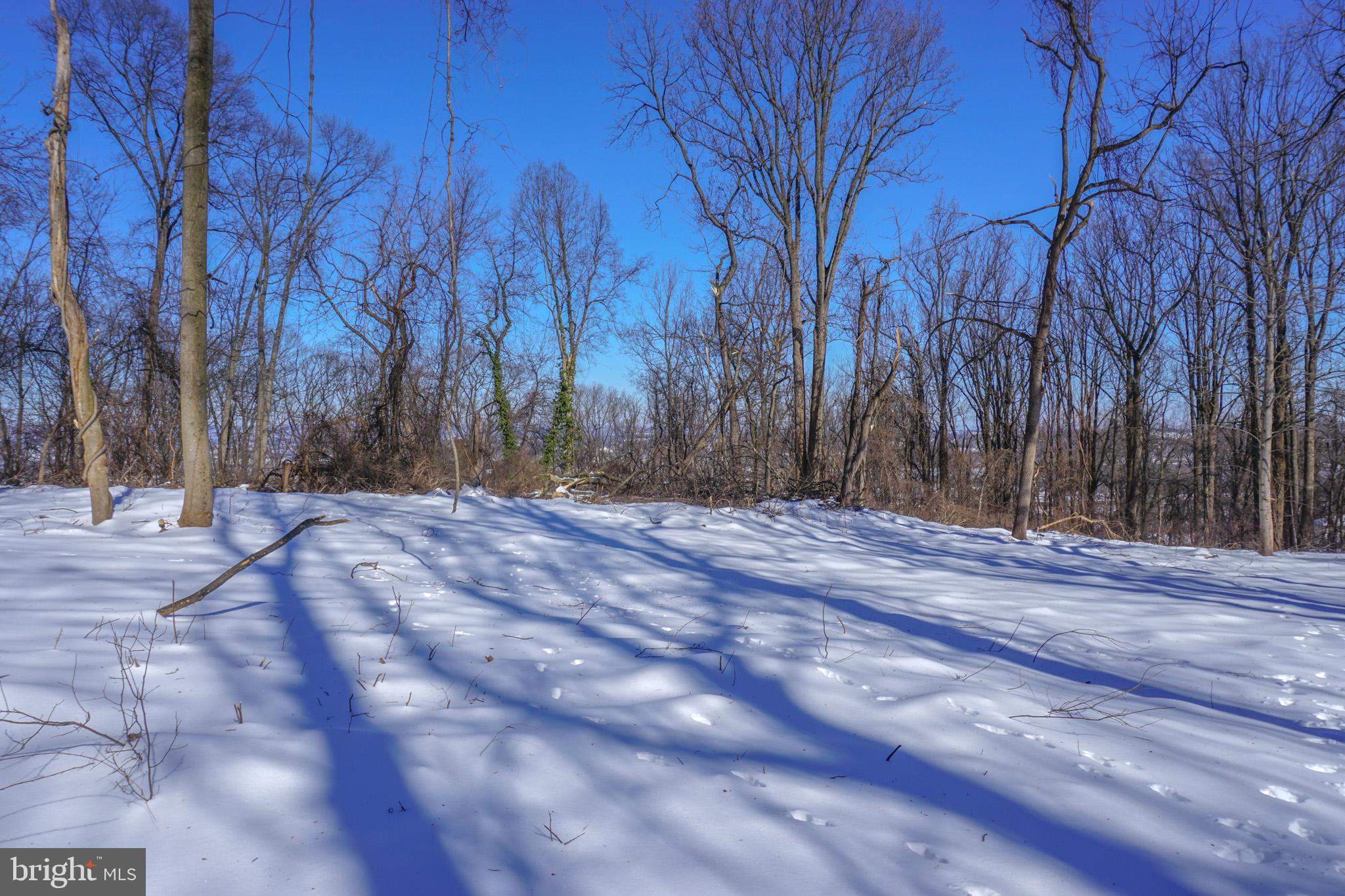 0 Old York Road, Unit 253 New Cumberland, PA 17070 - Photo 14 of 18 a view of a yard with trees