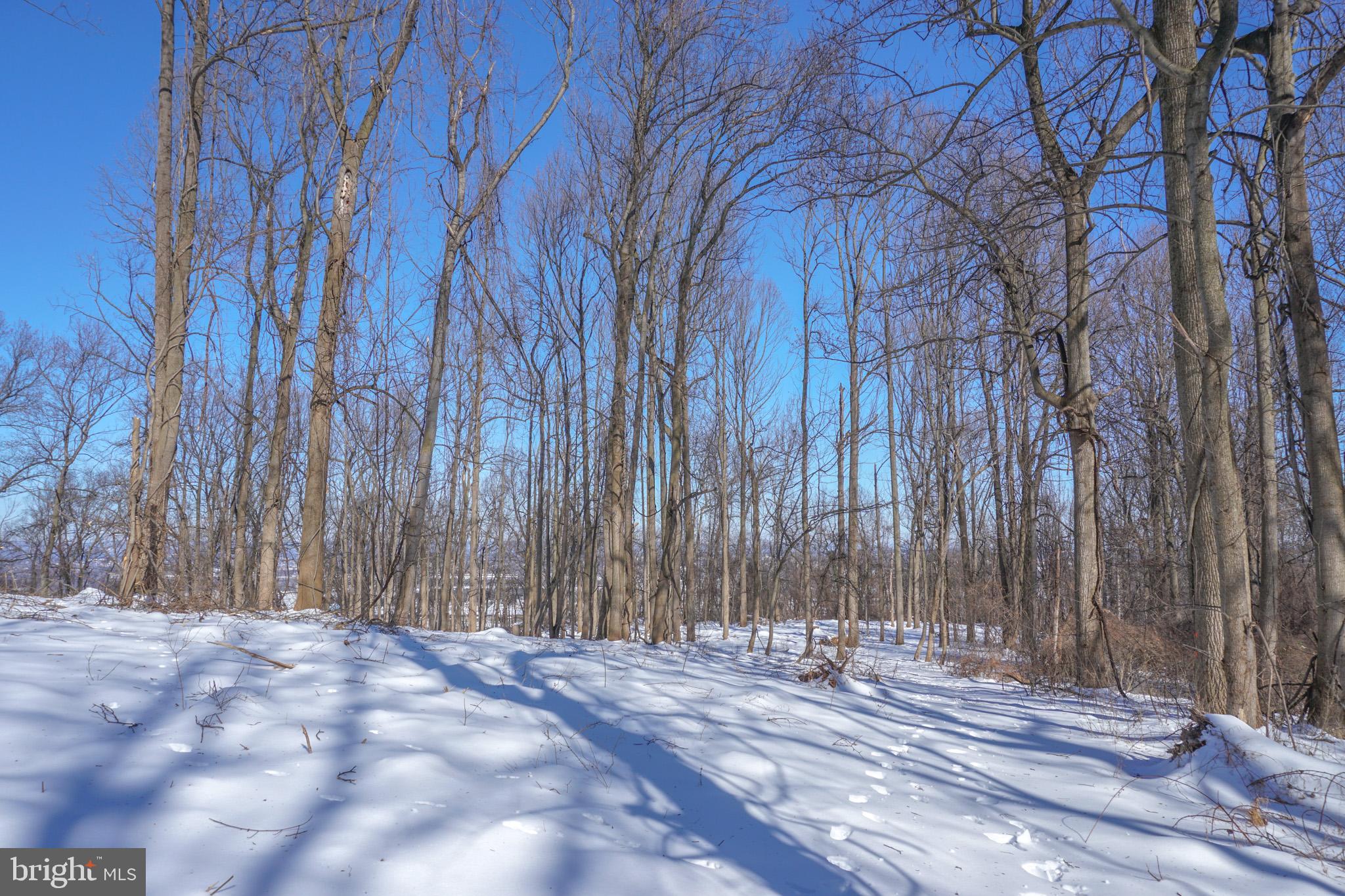 0 Old York Road, Unit 253 New Cumberland, PA 17070 - Photo 16 of 18 a view of a backyard with pathway