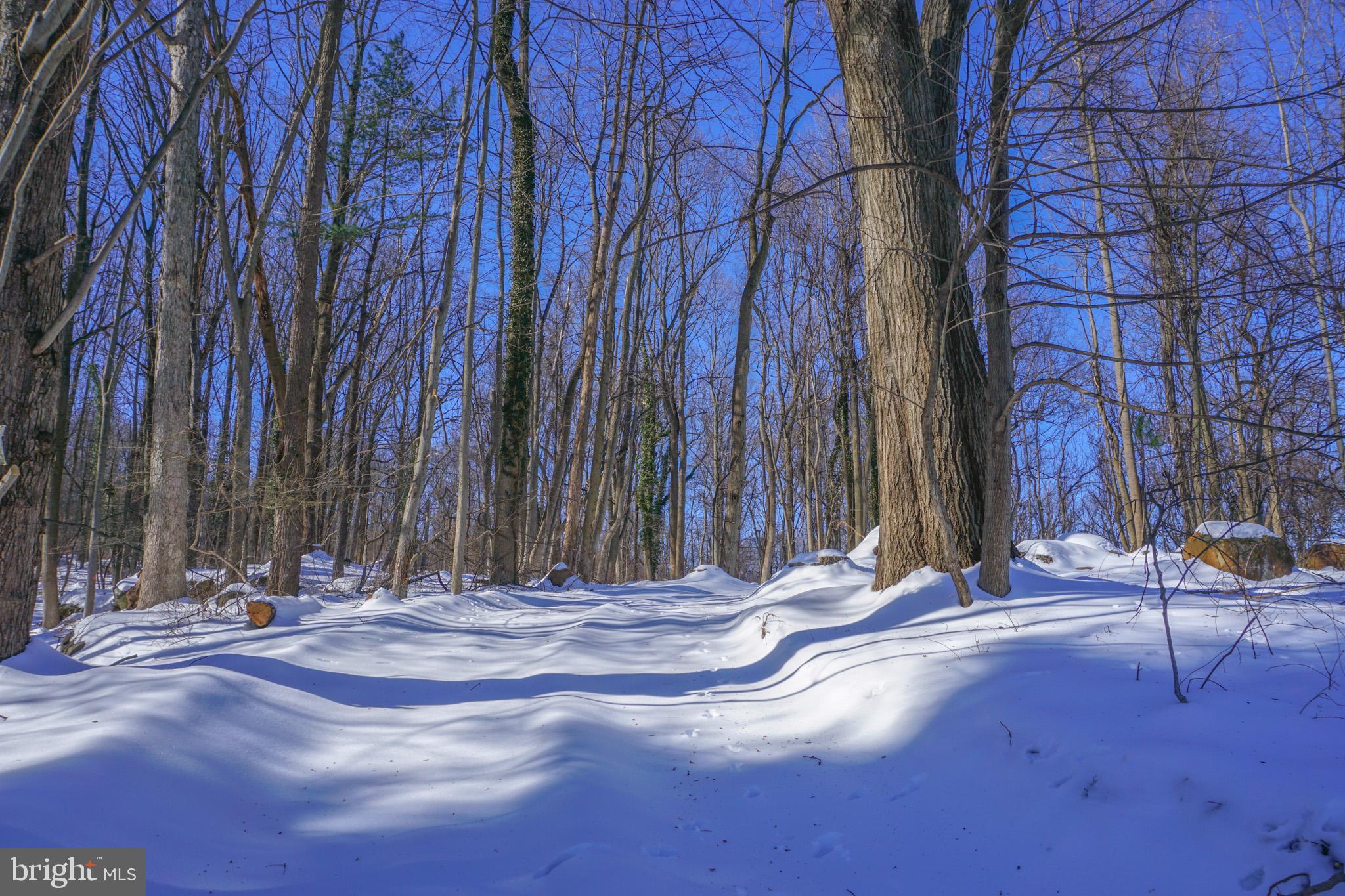 0 Old York Road, Unit 253 New Cumberland, PA 17070 - Photo 17 of 18 a view of outdoor space with trees