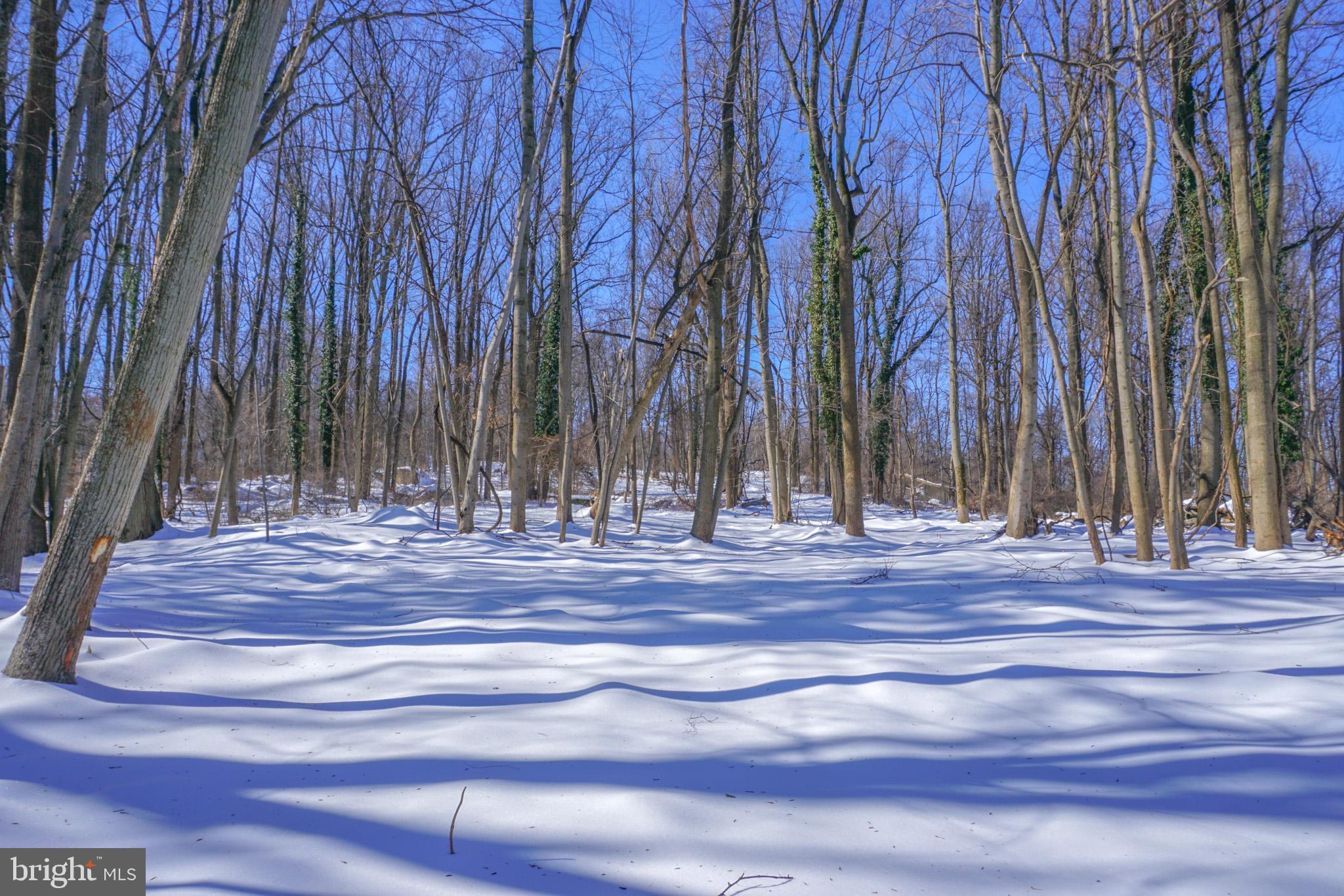 0 Old York Road, Unit 253 New Cumberland, PA 17070 - Photo 18 of 18 a view of a backyard