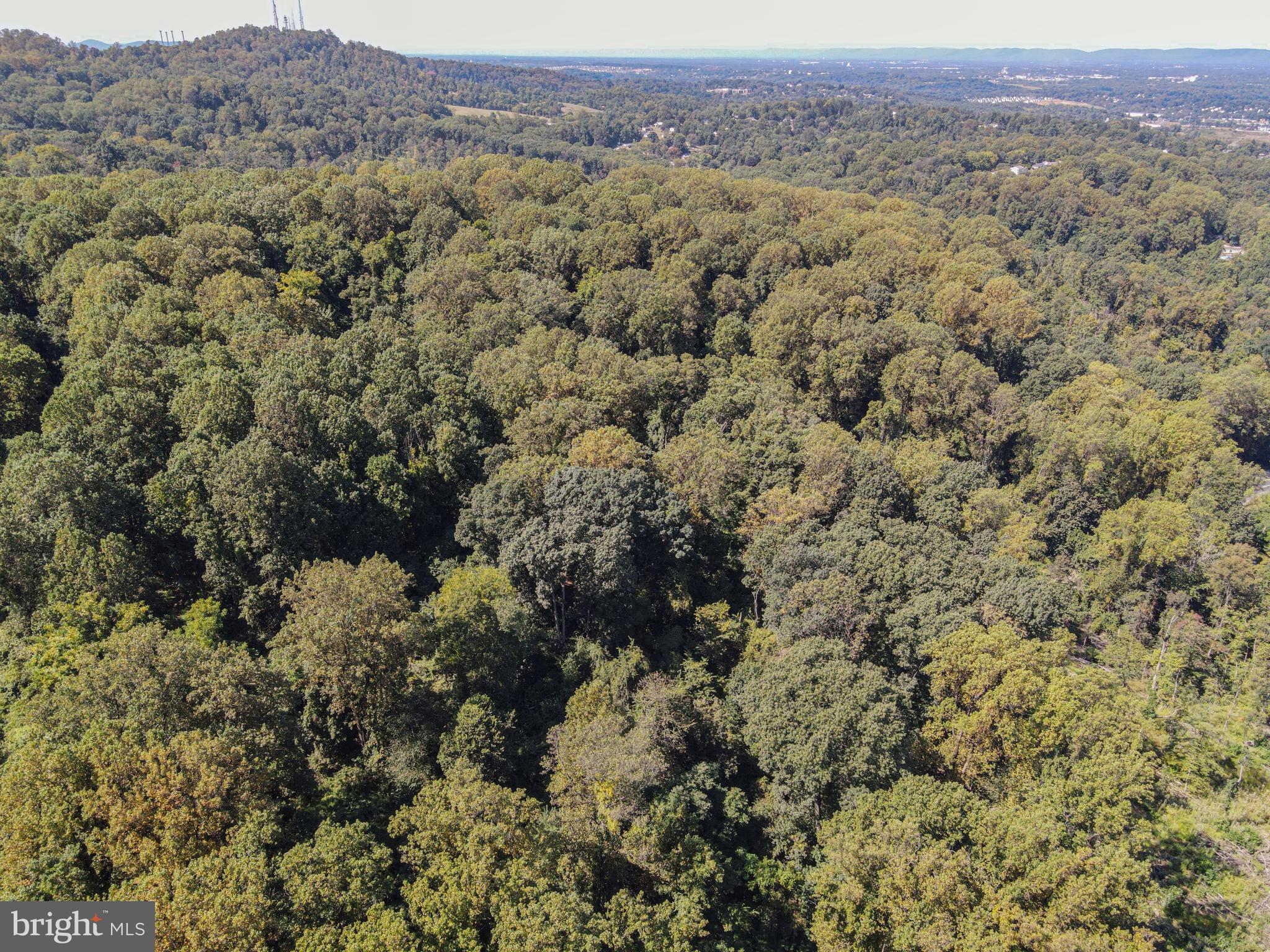 0 Old York Road, Unit 253 New Cumberland, PA 17070 - Photo 6 of 7 a view of a field of mountains and green space