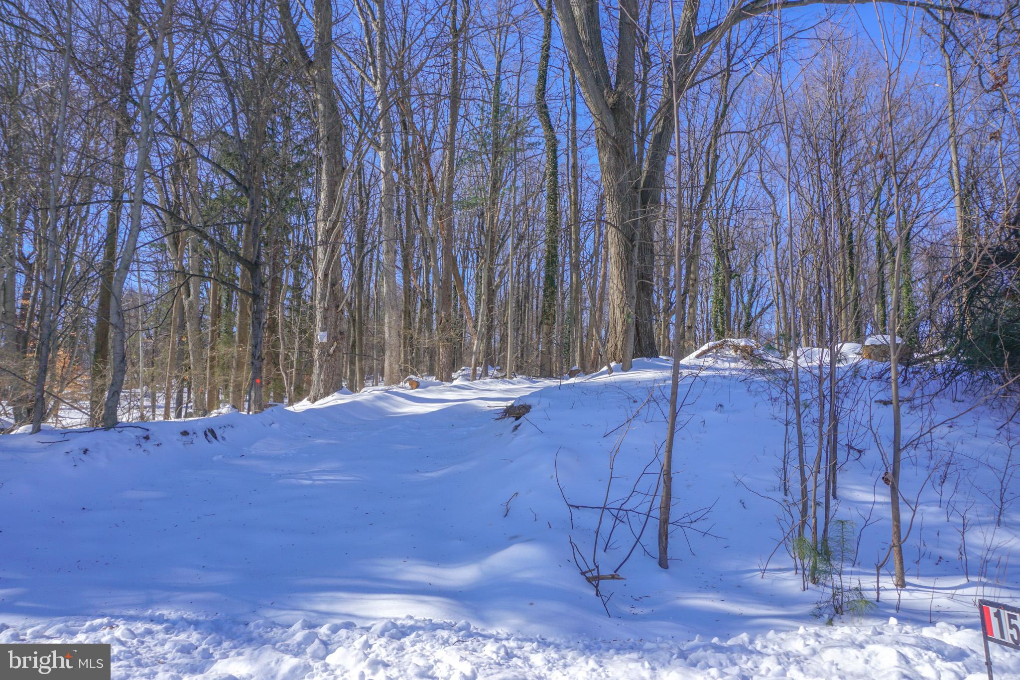 0 Old York Road, Unit 253 New Cumberland, PA 17070 - Photo 8 of 18 a view of a backyard