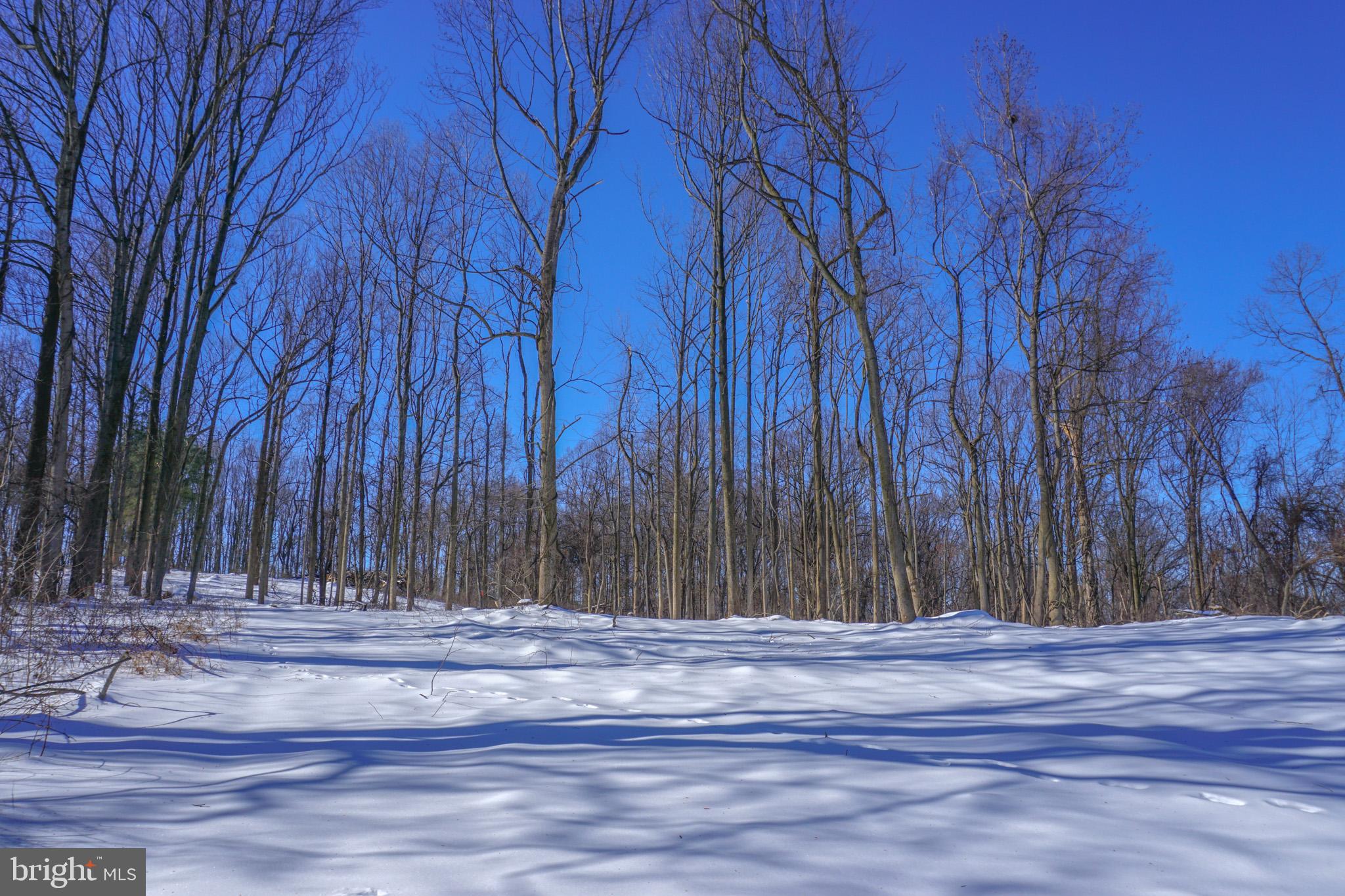 0 Old York Road, Unit 253 New Cumberland, PA 17070 - Photo 10 of 18 a view of a backyard of the house