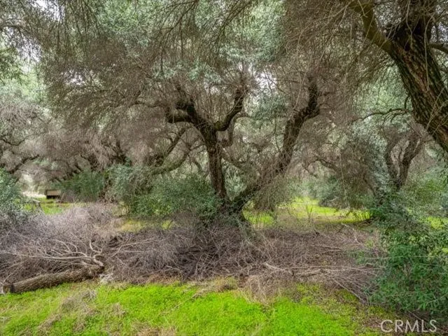 a view of a house with backyard and garden