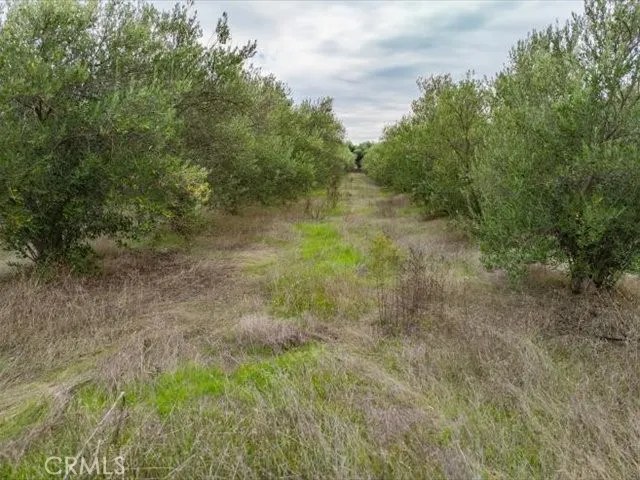 a view of a house with a yard and large trees