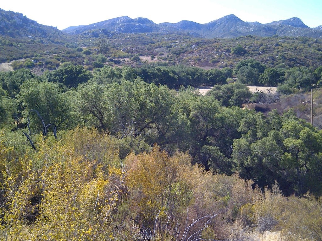 14469 Mussey Grade Road Ramona, CA 92065 - Photo 3 of 6 a view of a lake in middle of forest