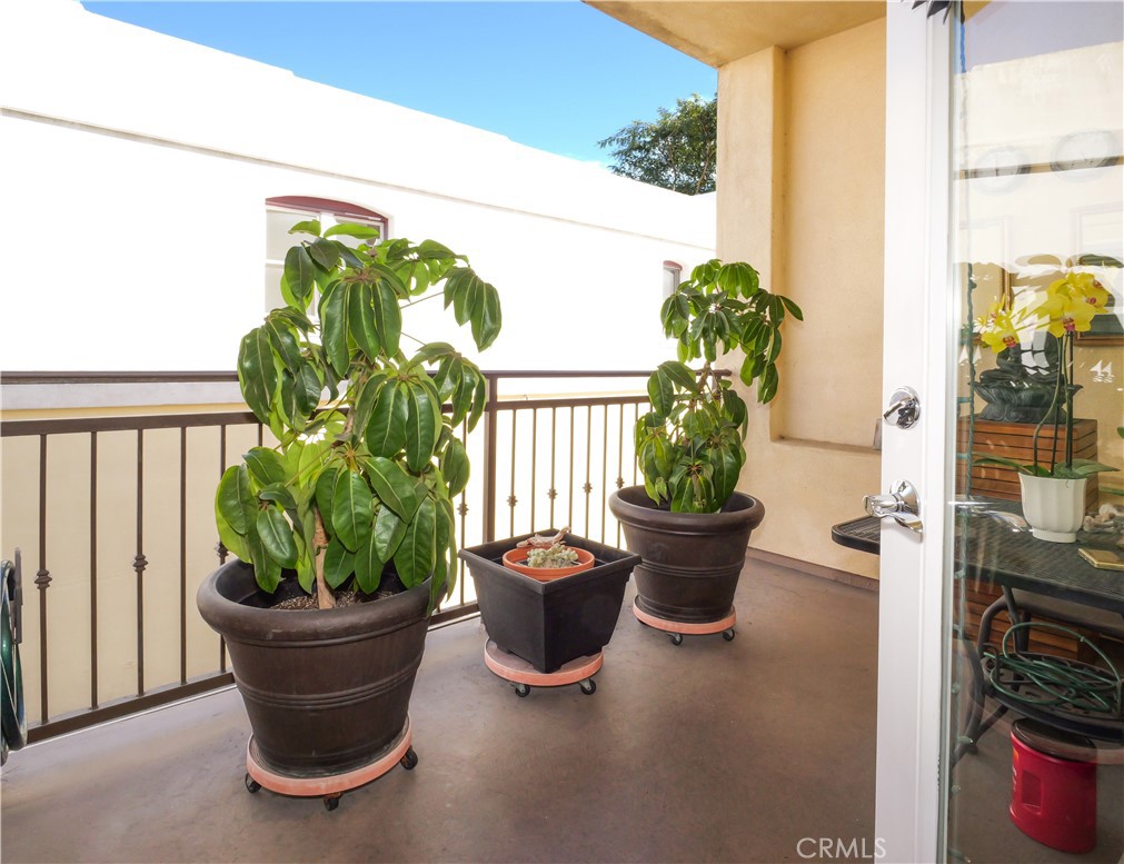 1323 Post Avenue, Unit K Torrance, CA 90501 - Photo 9 of 23 a view of a flower pot and a potted plant in front of a window