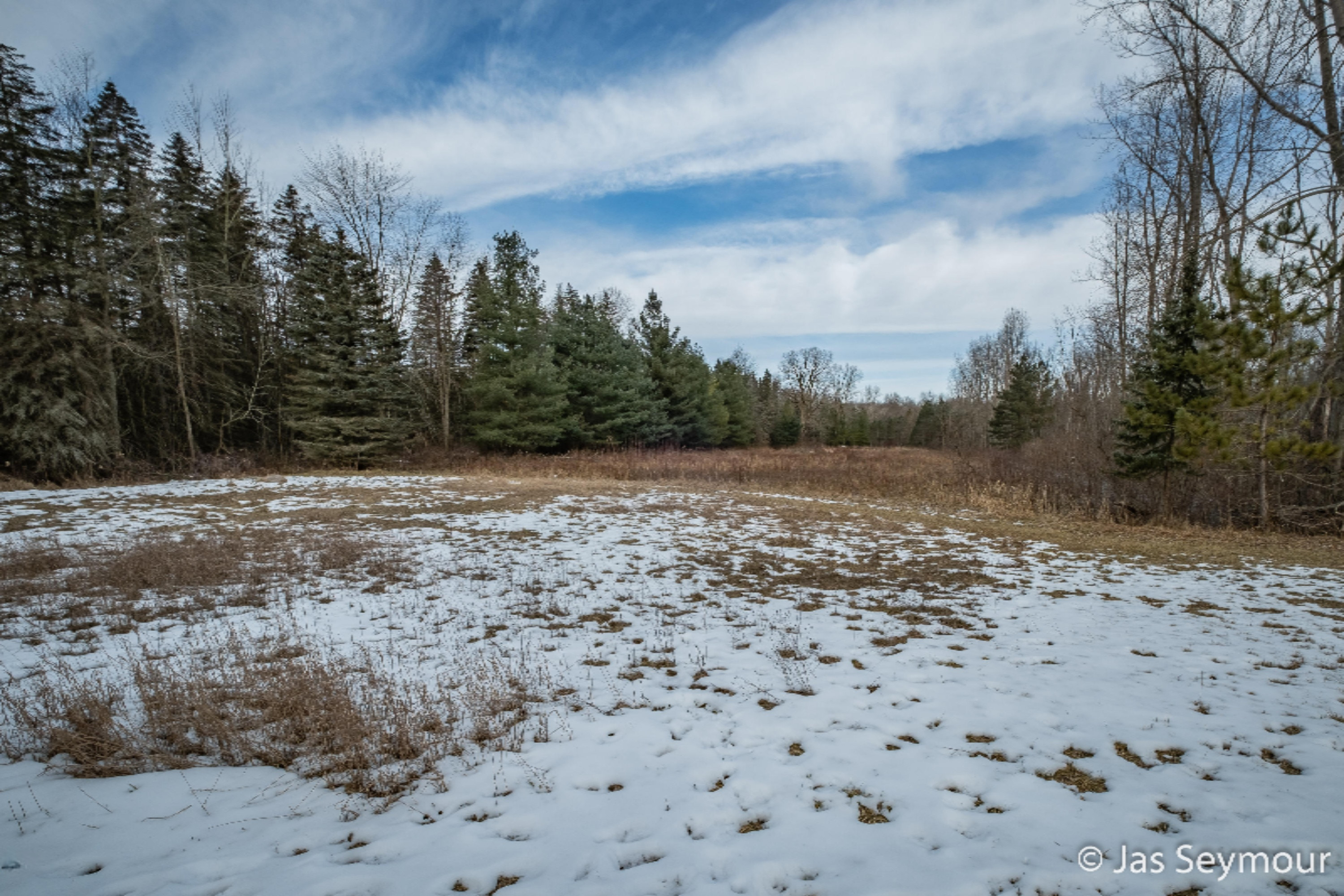 5961 East Charles Road Ionia, MI 48846 - Photo 21 of 61 Photo-30