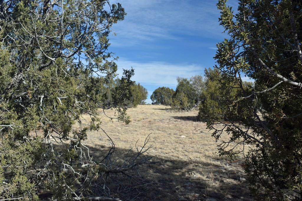 Lot 100 Narrow Gauge Way Rye, CO 81069 - Photo 9 of 42 Gallery Image 9