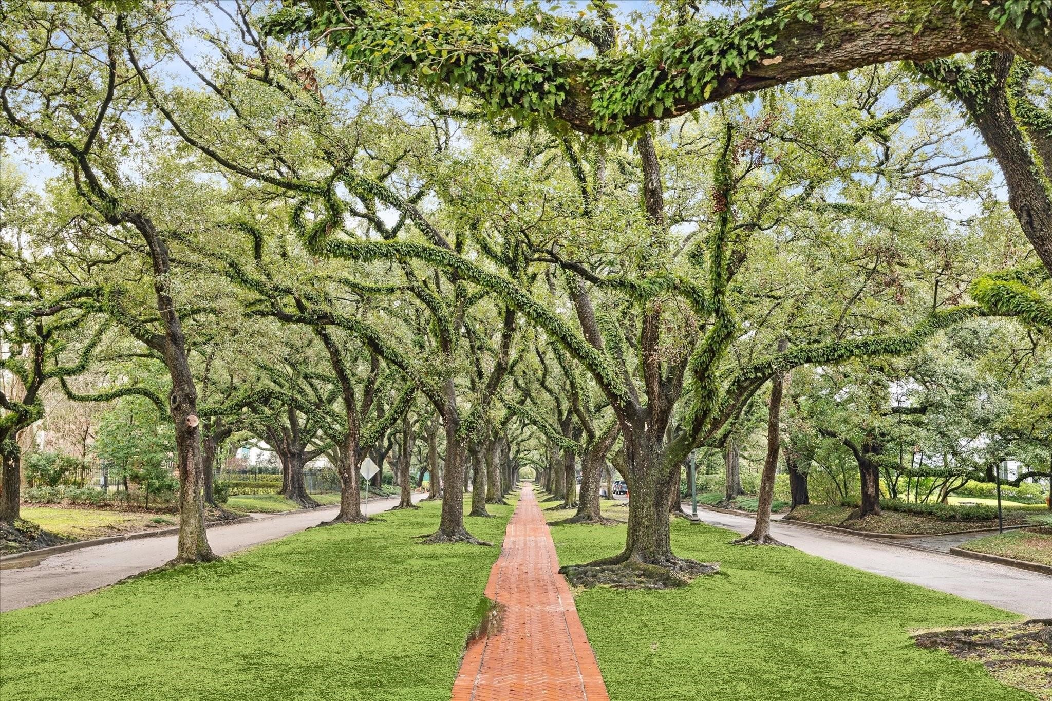 1205 Autrey Street, Unit 9 Houston, TX 77006 - Photo 18 of 32 View of the majestic live oaks along the North Boulevard promenade, just a short walk away.