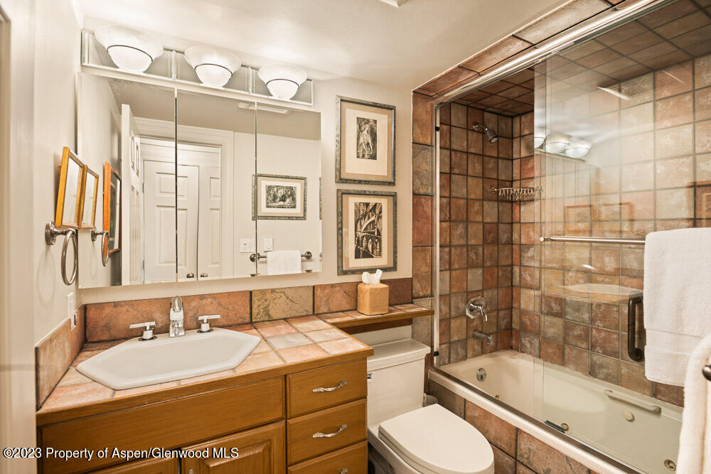 39060 Highway 82, Unit 7 Aspen, CO 81611 - Photo 15 of 17 a bathroom with a sink toilet and shower