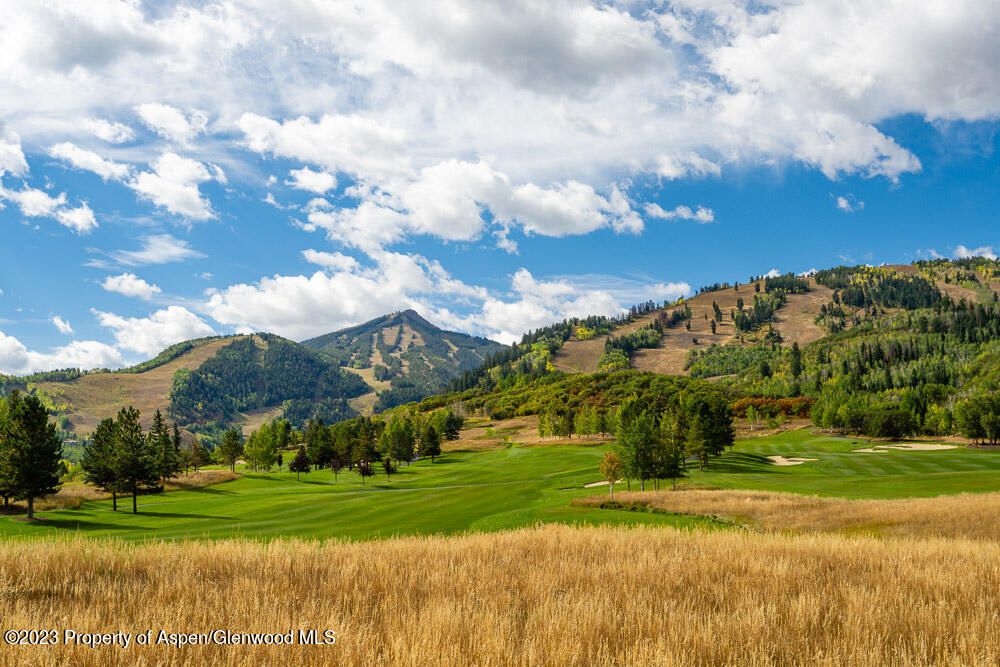 39060 Highway 82, Unit 7 Aspen, CO 81611 - Photo 16 of 17 a view of a big yard with large trees