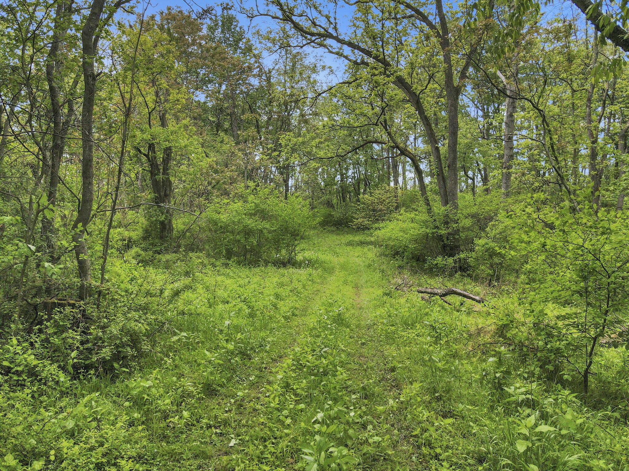 29500 Fairview Ridge Road Logan, OH 43138 - Photo 7 of 73 6-web-or-mls-DJI_0691