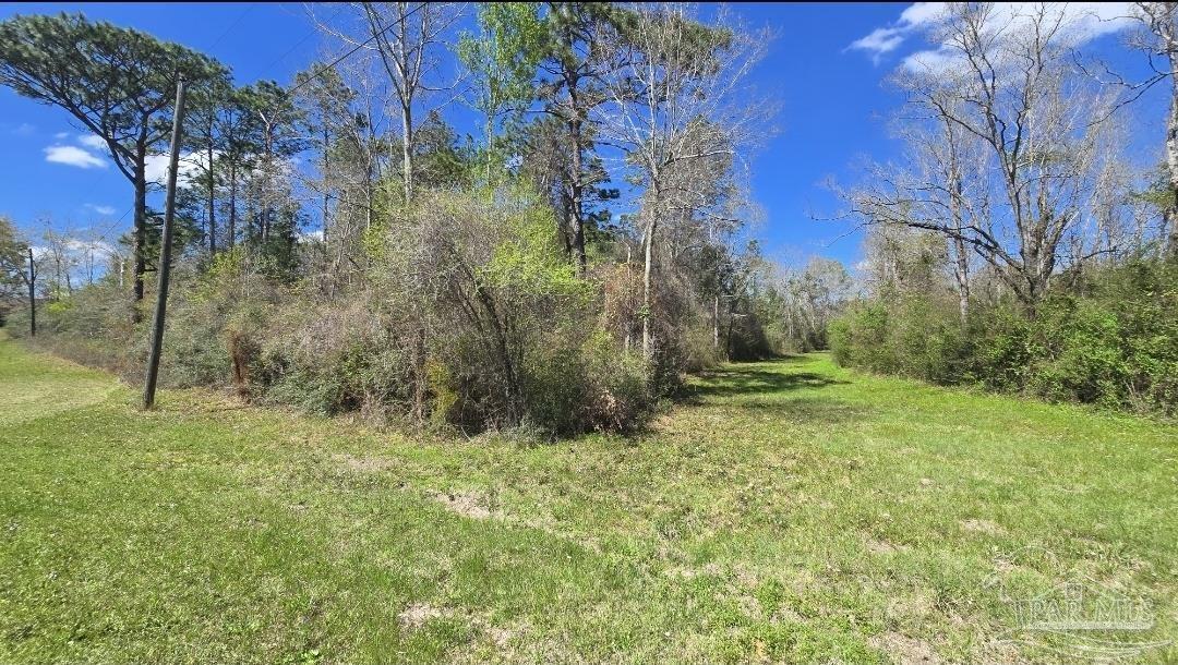 400 Welcome Circle Cantonment, FL 32533 - Photo 1 of 4 a view of a yard with trees