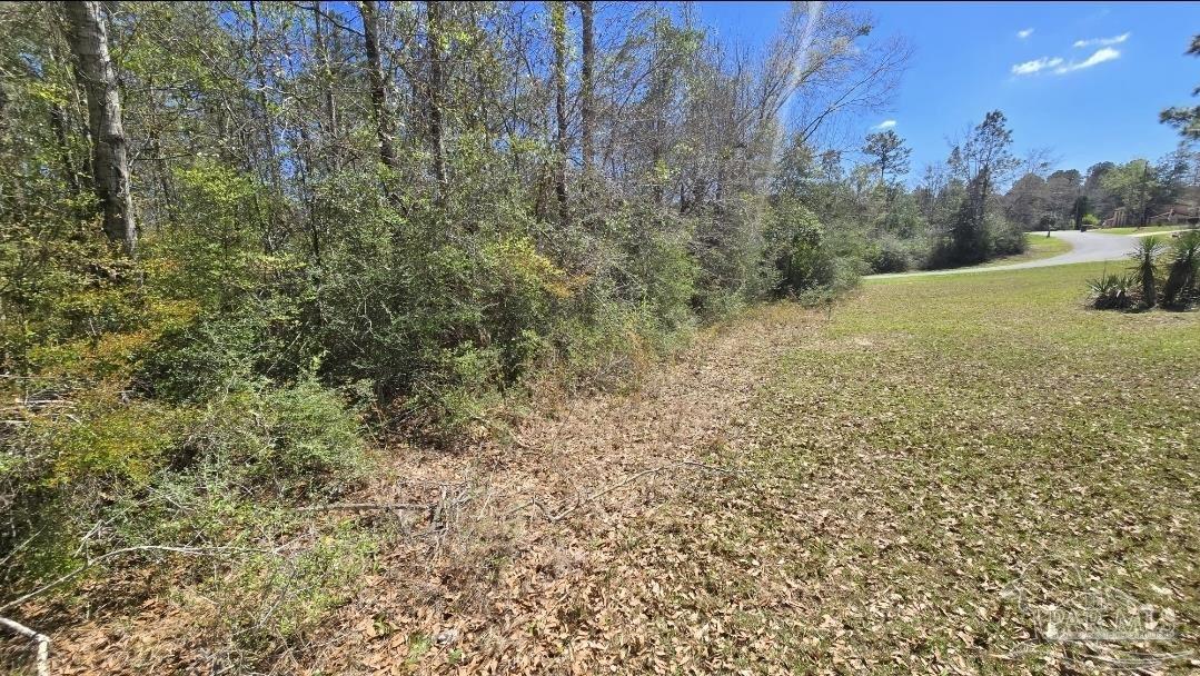 400 Welcome Circle Cantonment, FL 32533 - Photo 2 of 4 a view of a yard with a tree